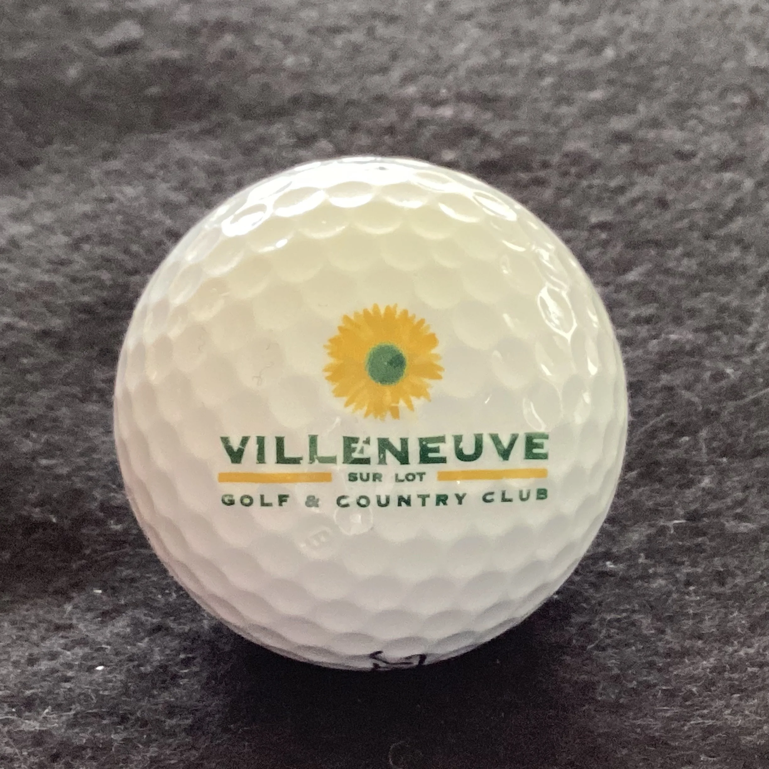 Villeneuve Sur Lot Golf and Country Club 
