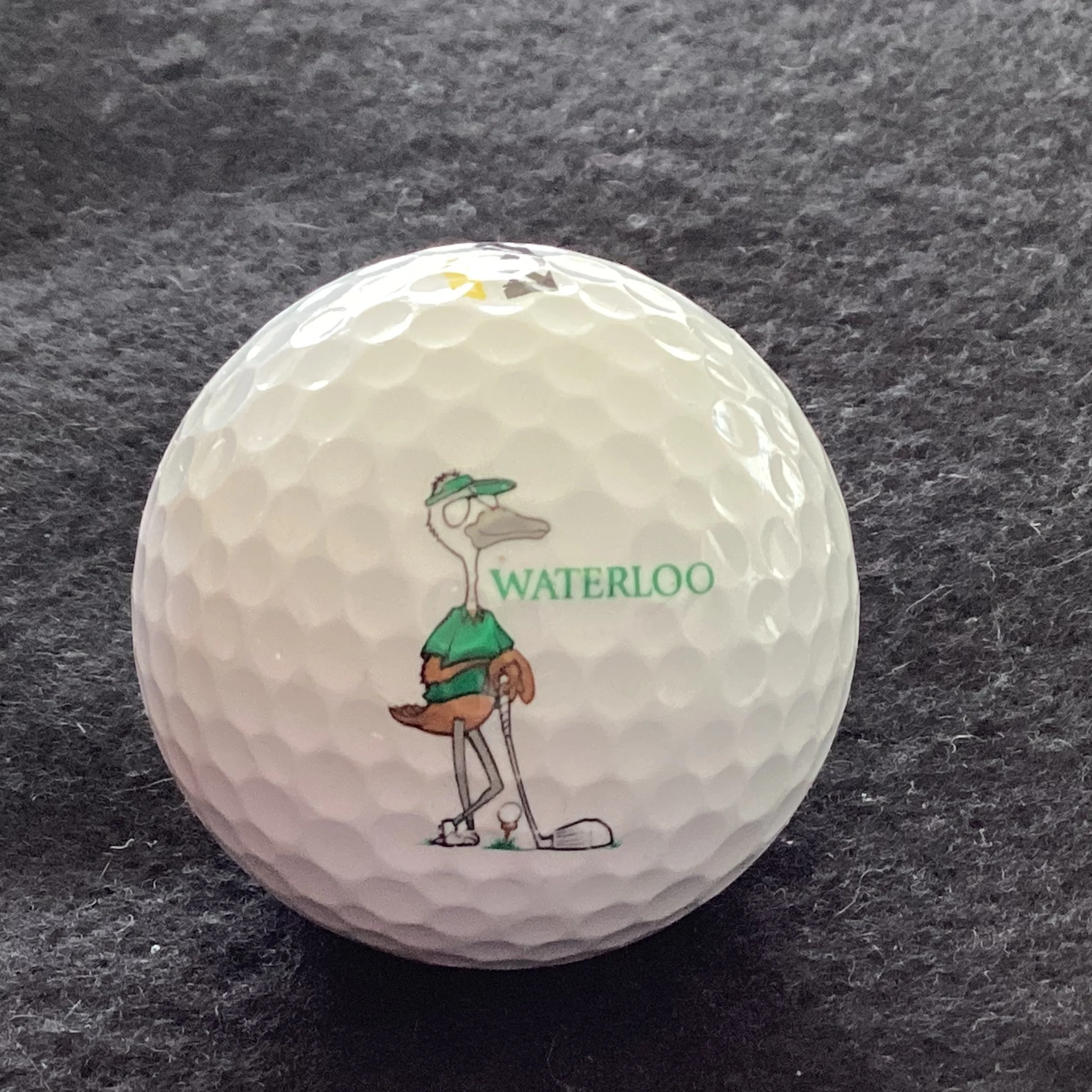 Waterloo Golf Club 