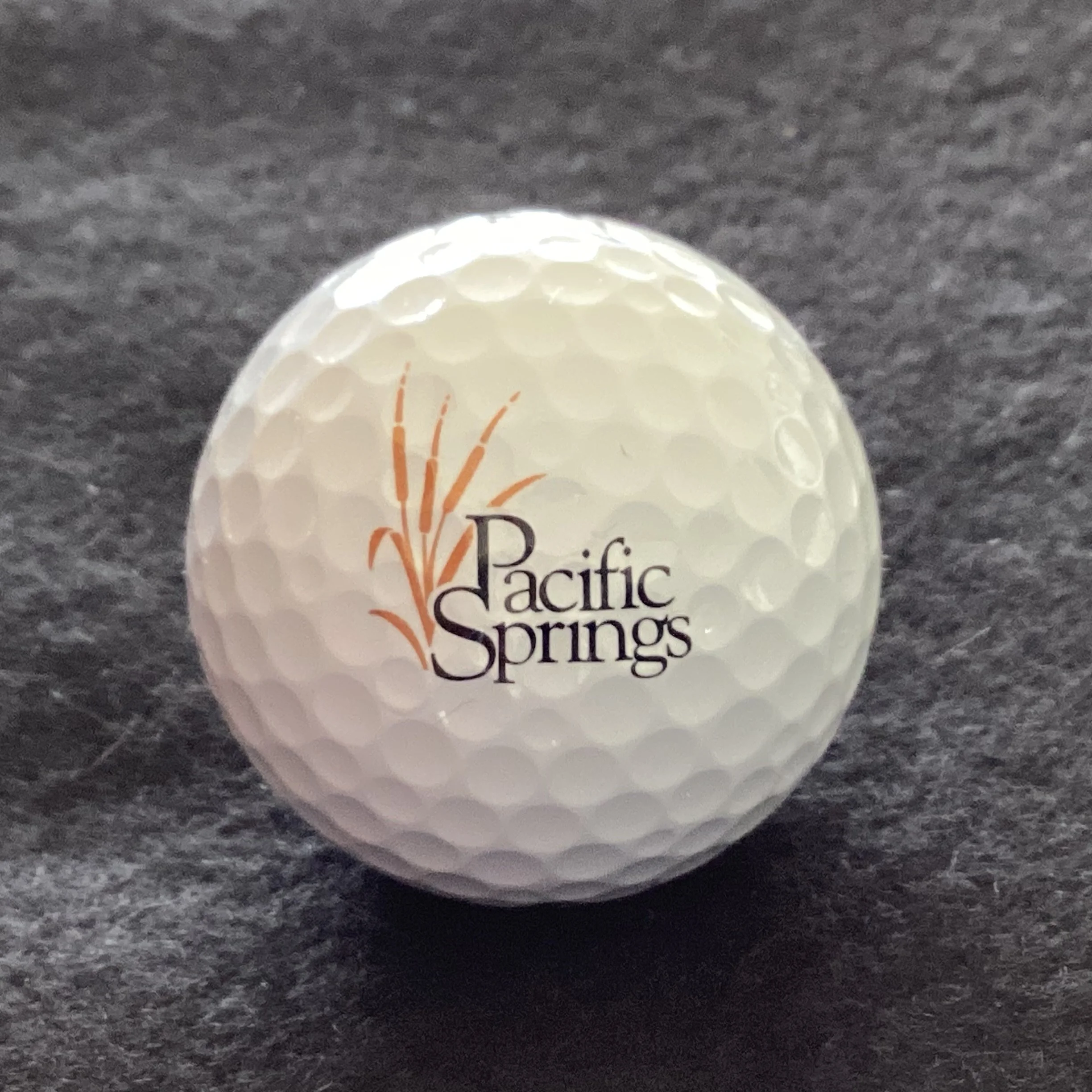 Pacific Springs Golf Course 