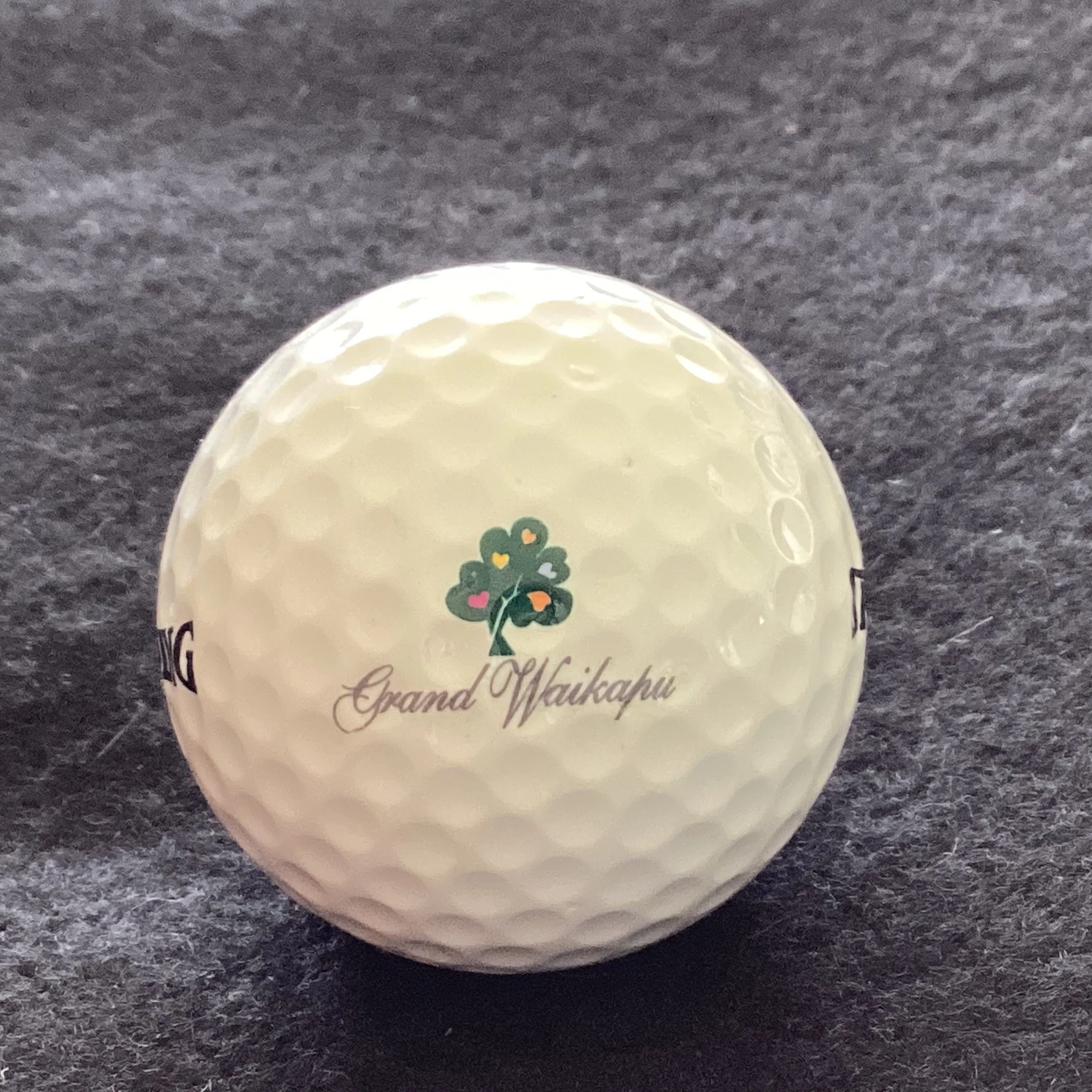 Grand Waikapu Golf Club 