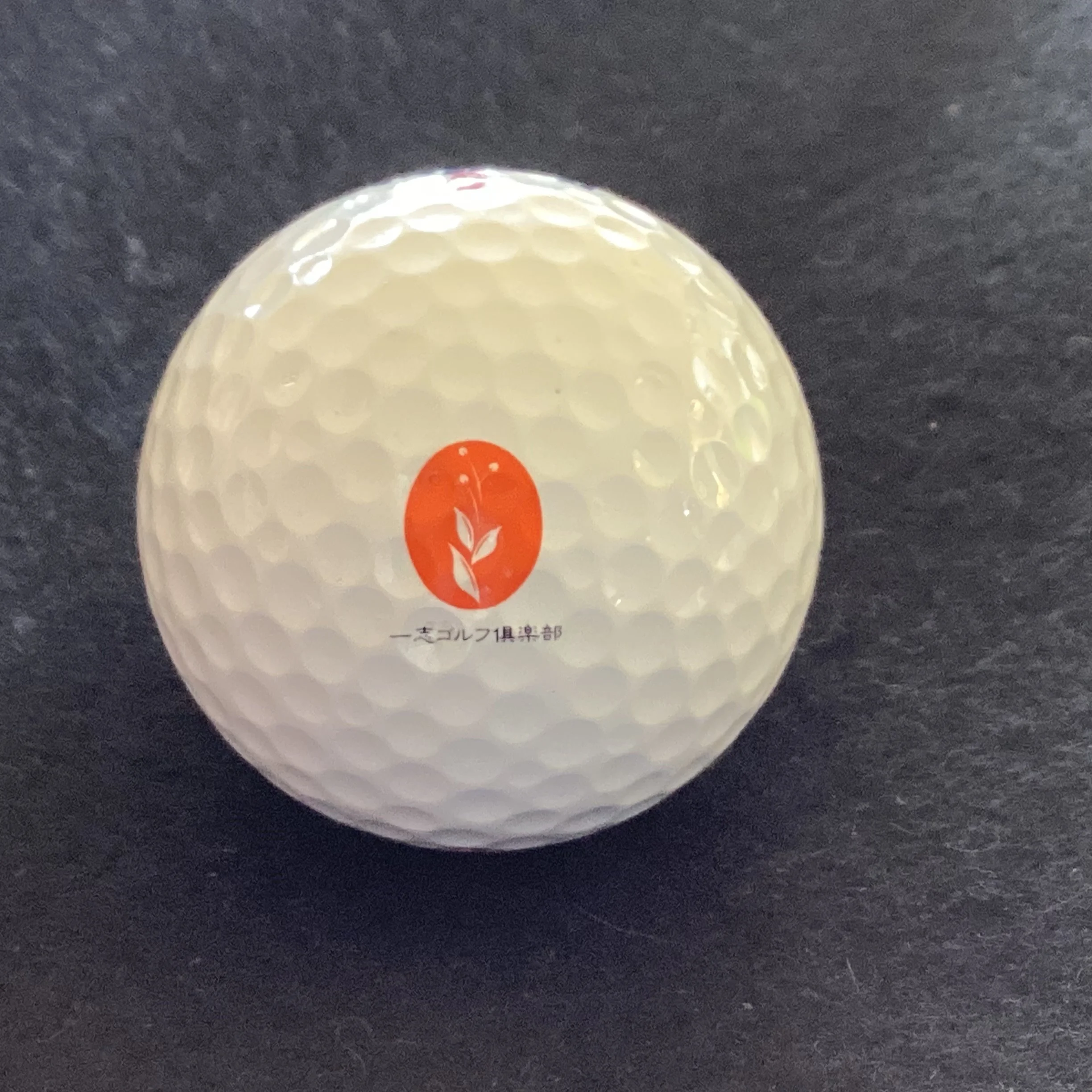 Isshu Golf Club