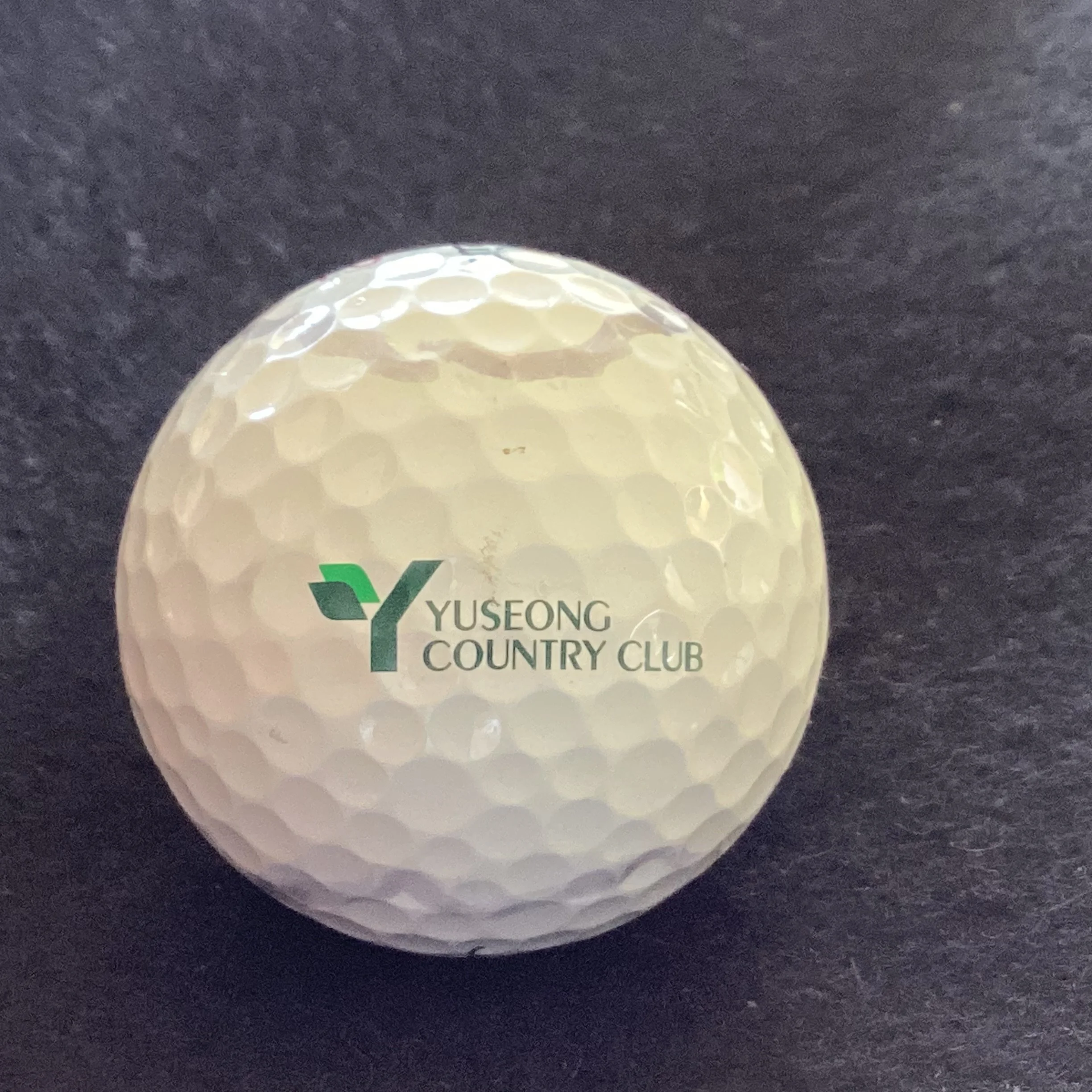 Yuseong Country Club 