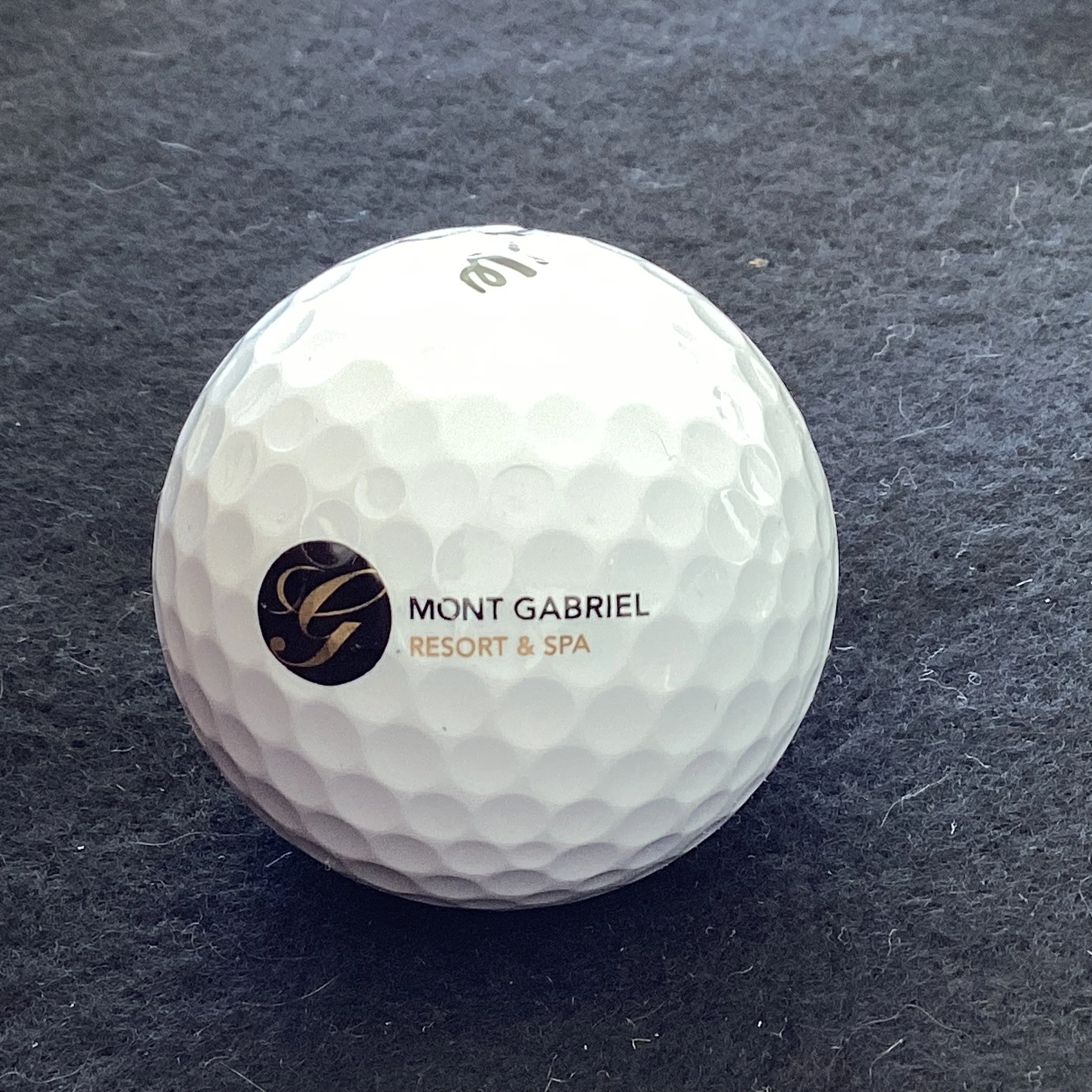 Mont Gabriel Resort and Spa 