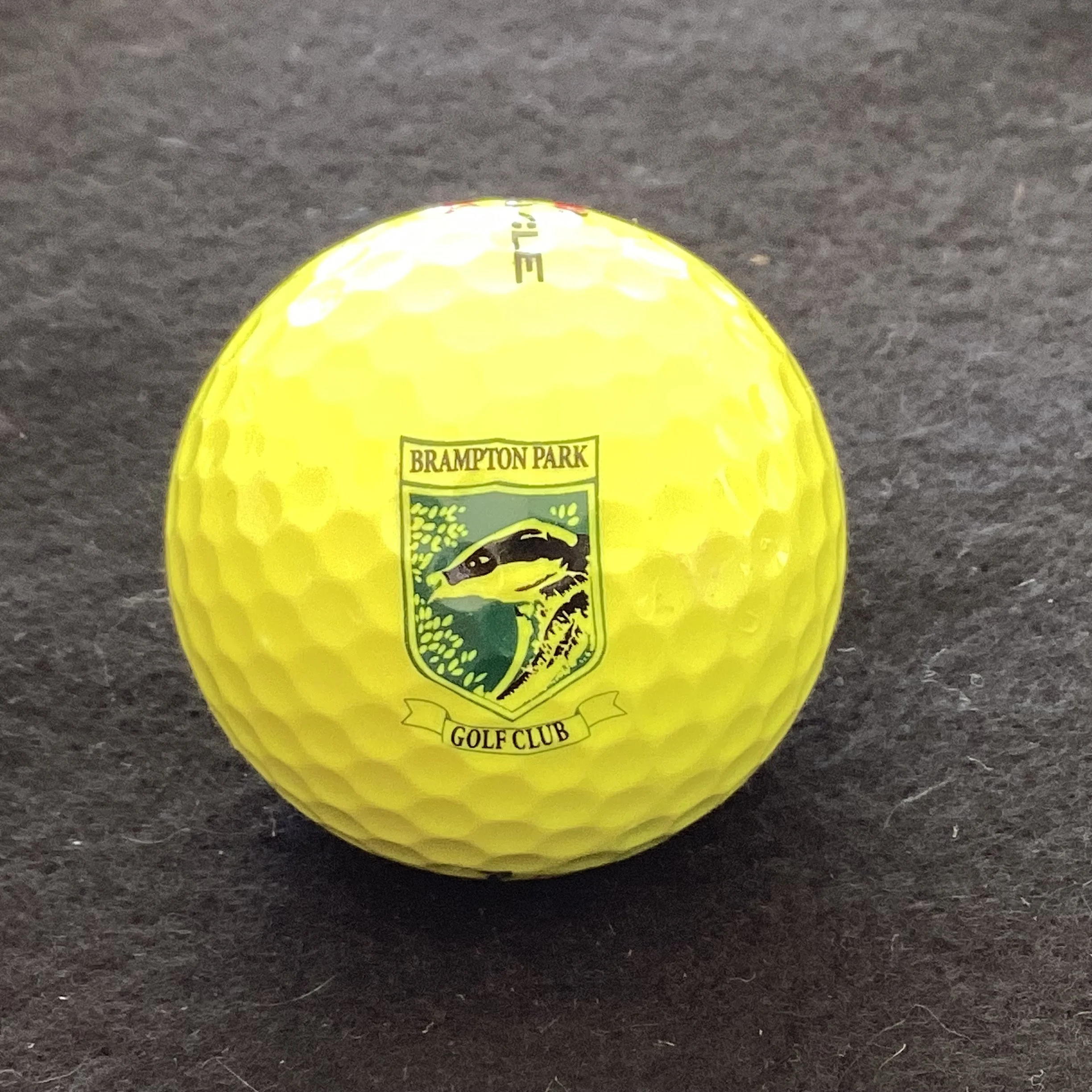 Brampton Park Golf Club 