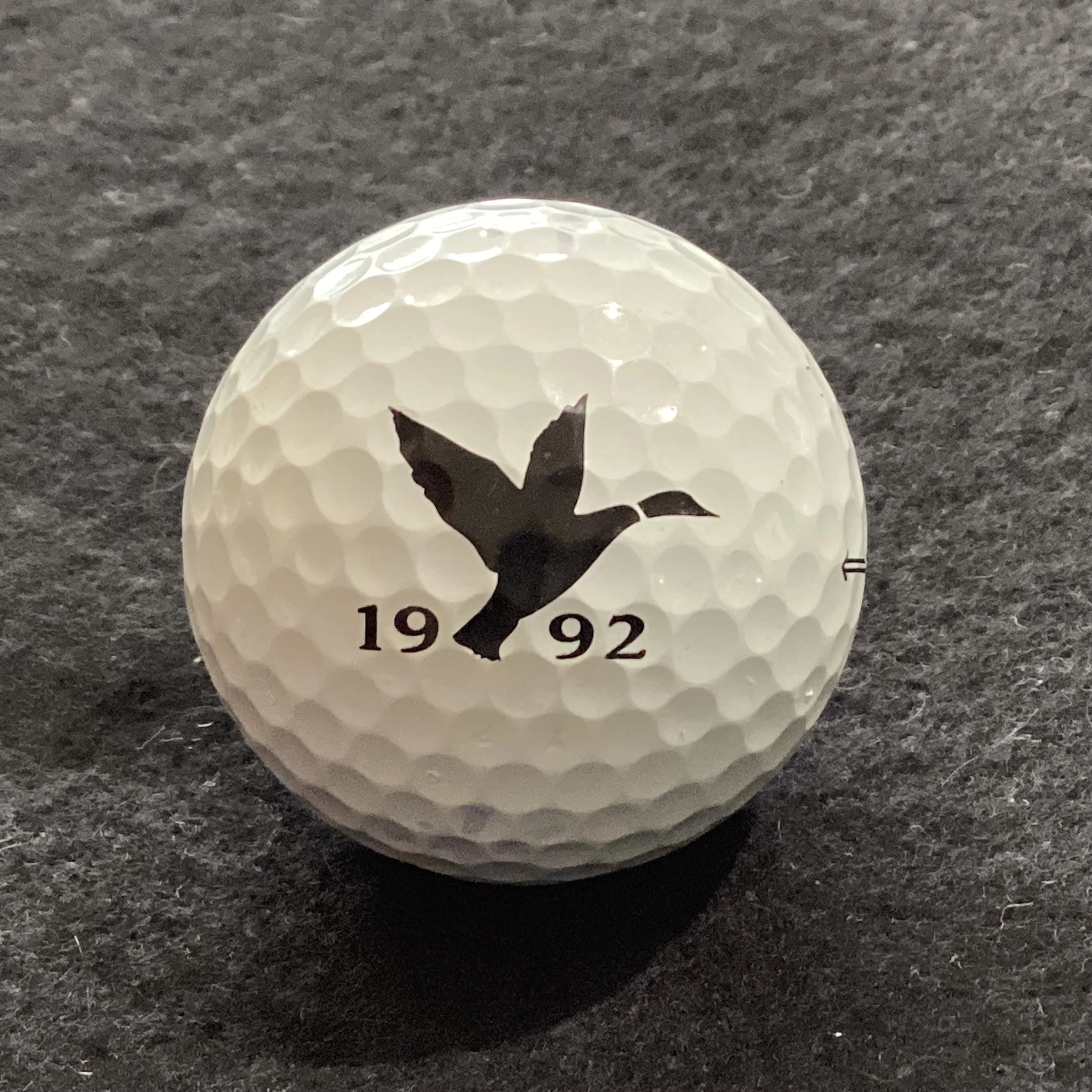Oregon - The Oregon Golf Club 