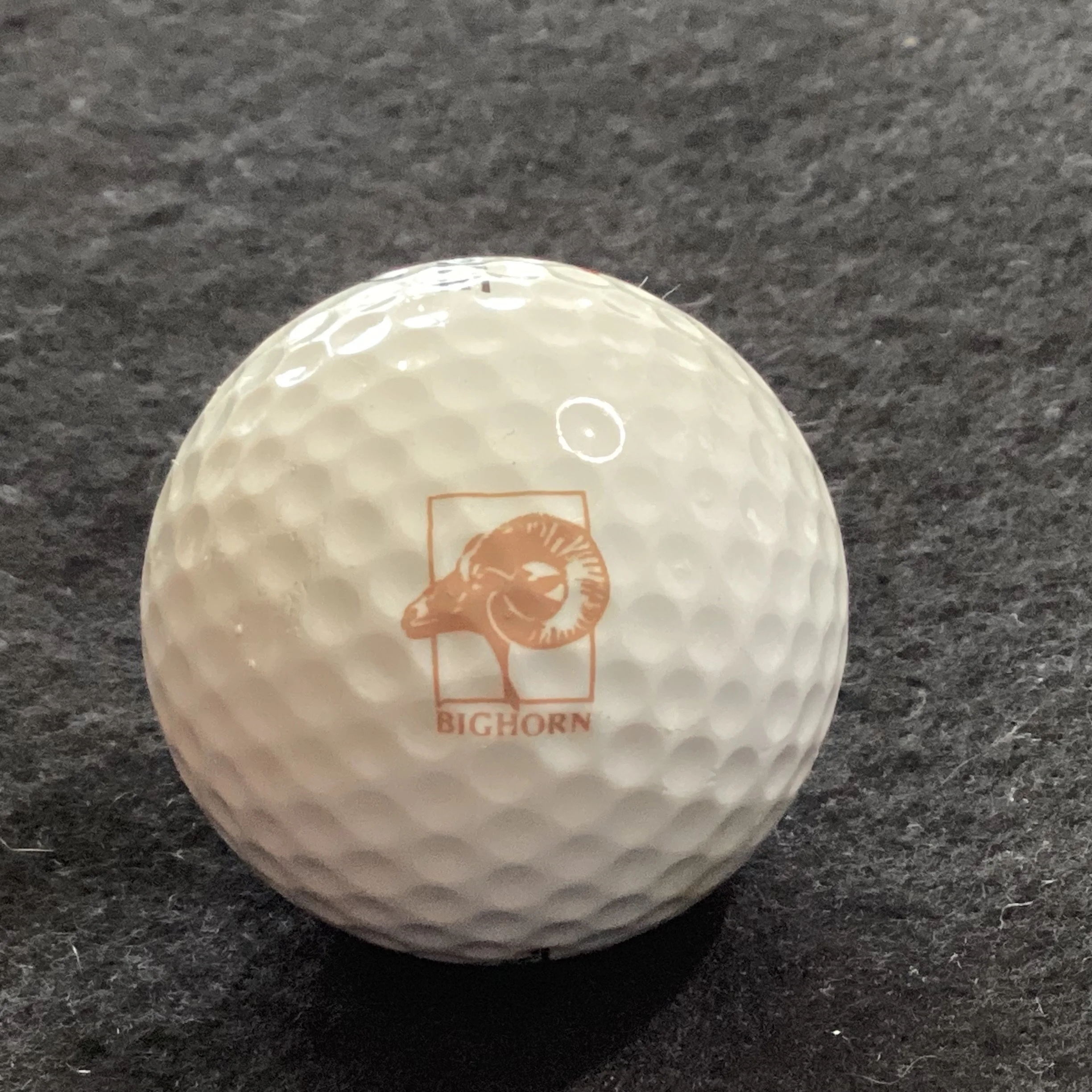 Bighorn Golf Course 
