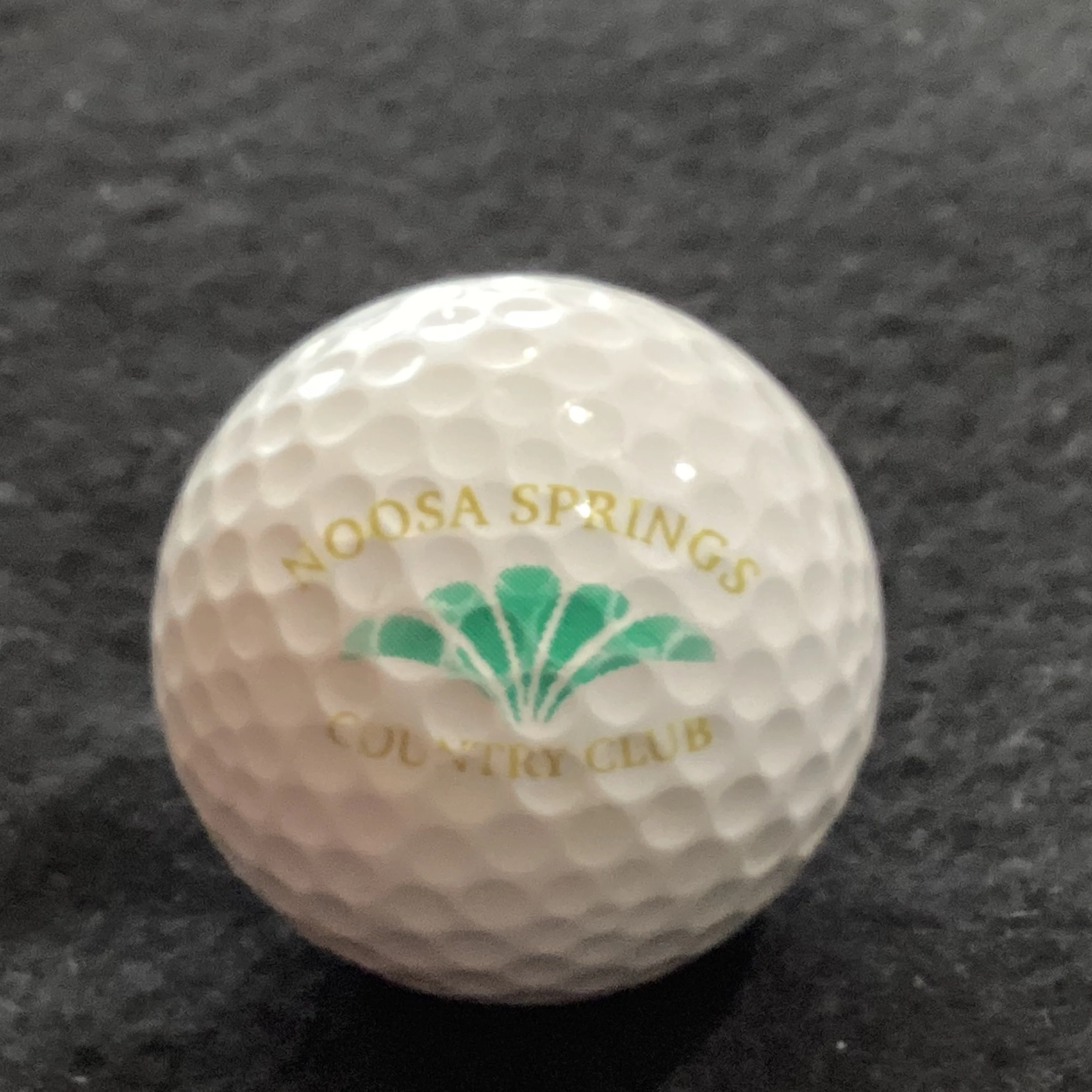 Noosa Springs Country Club 