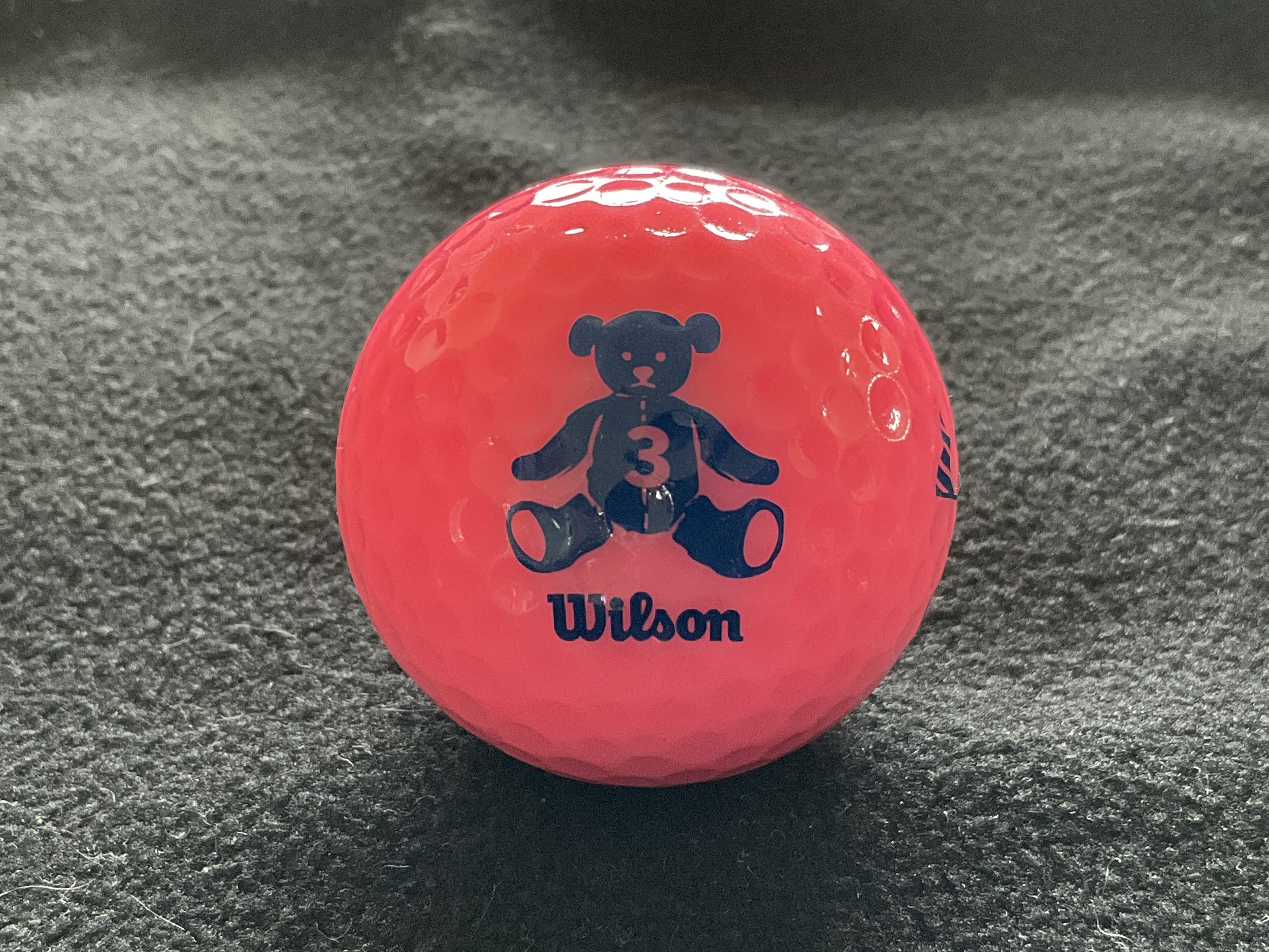 Wilson - Bear