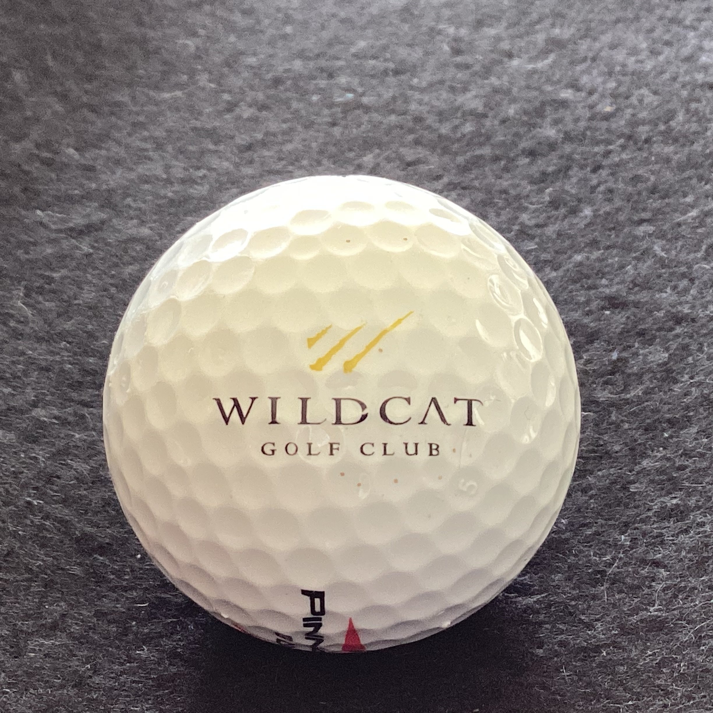 Wildcat Golf Club