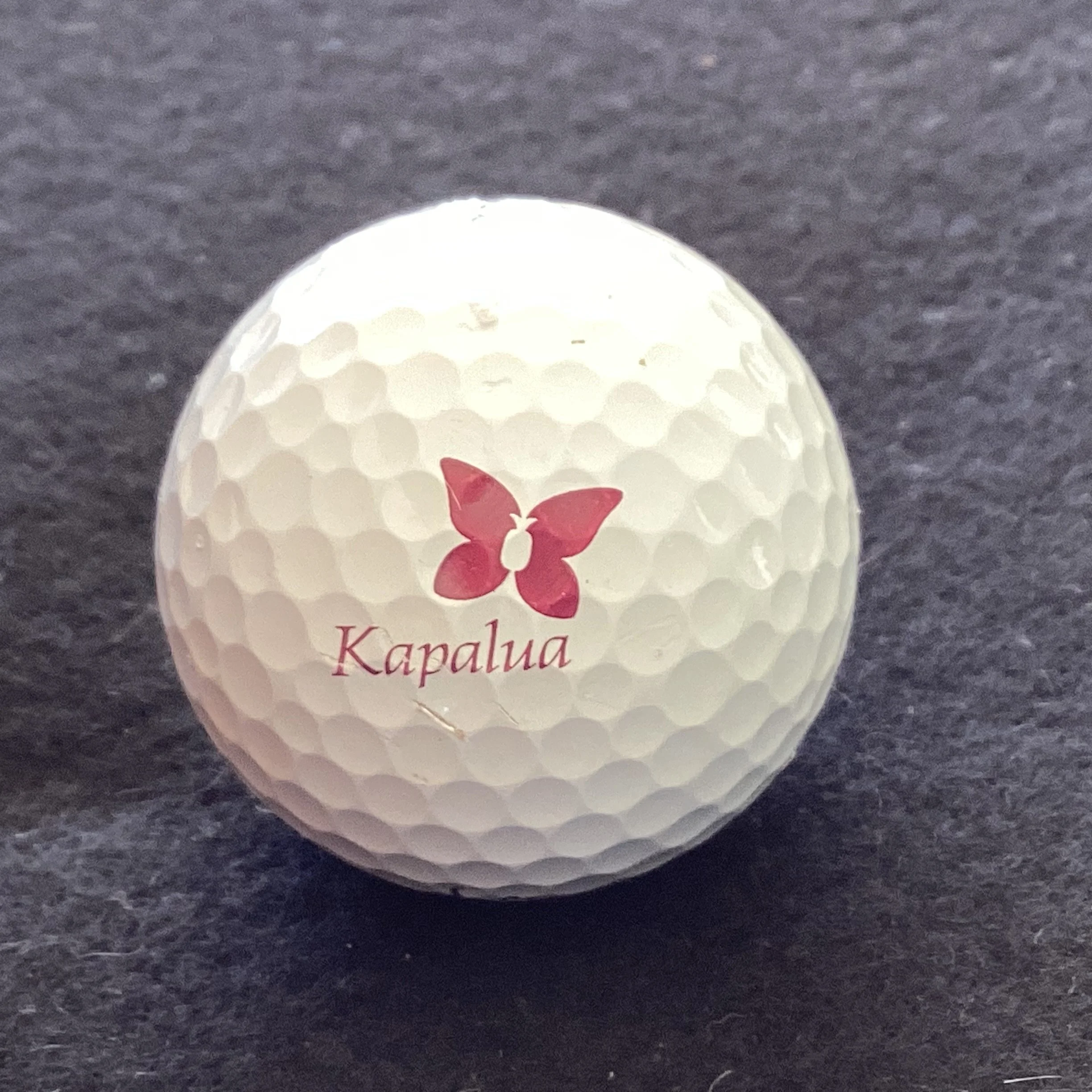 Kapalua Golf Course 