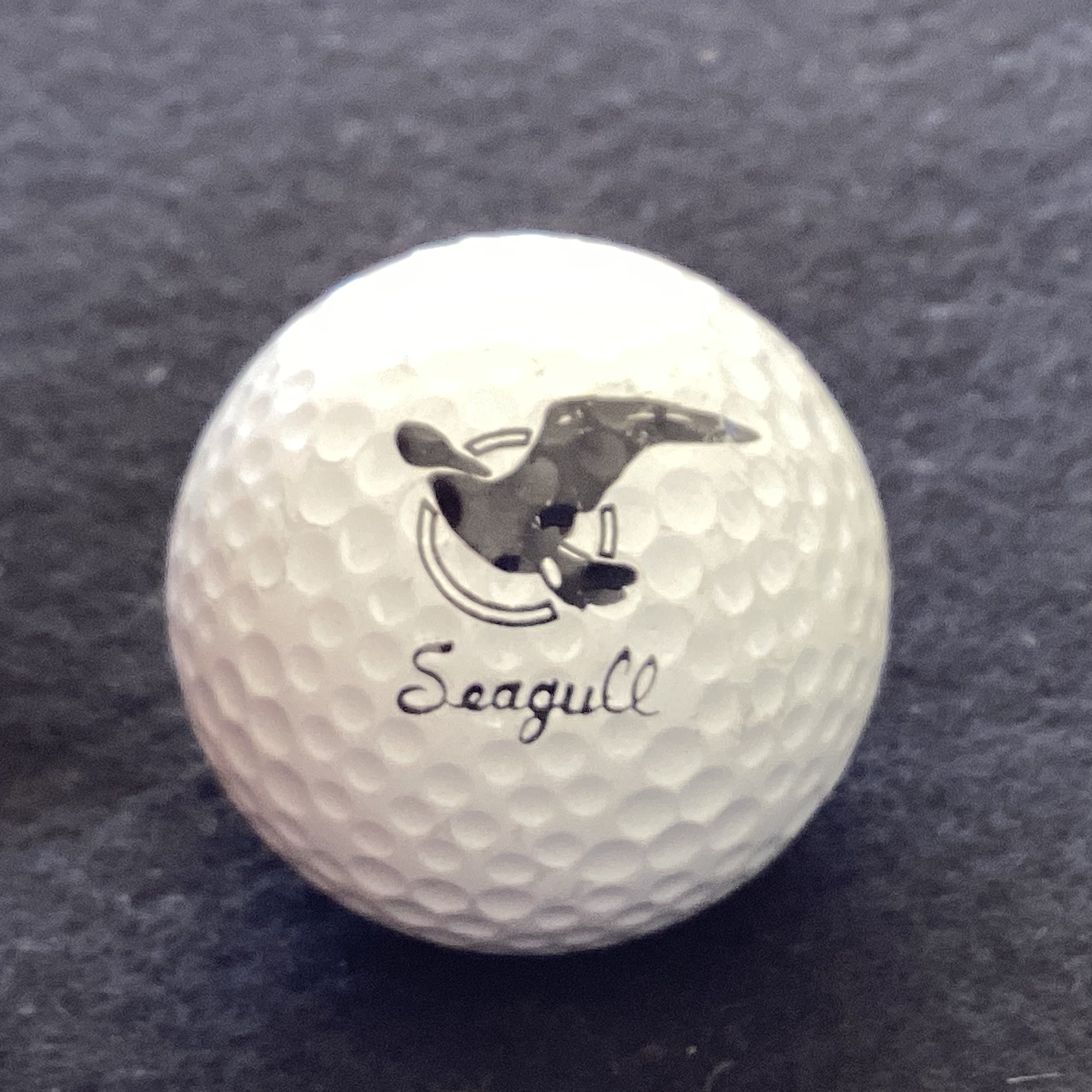 Gwenmax Bearings Seagull logo
