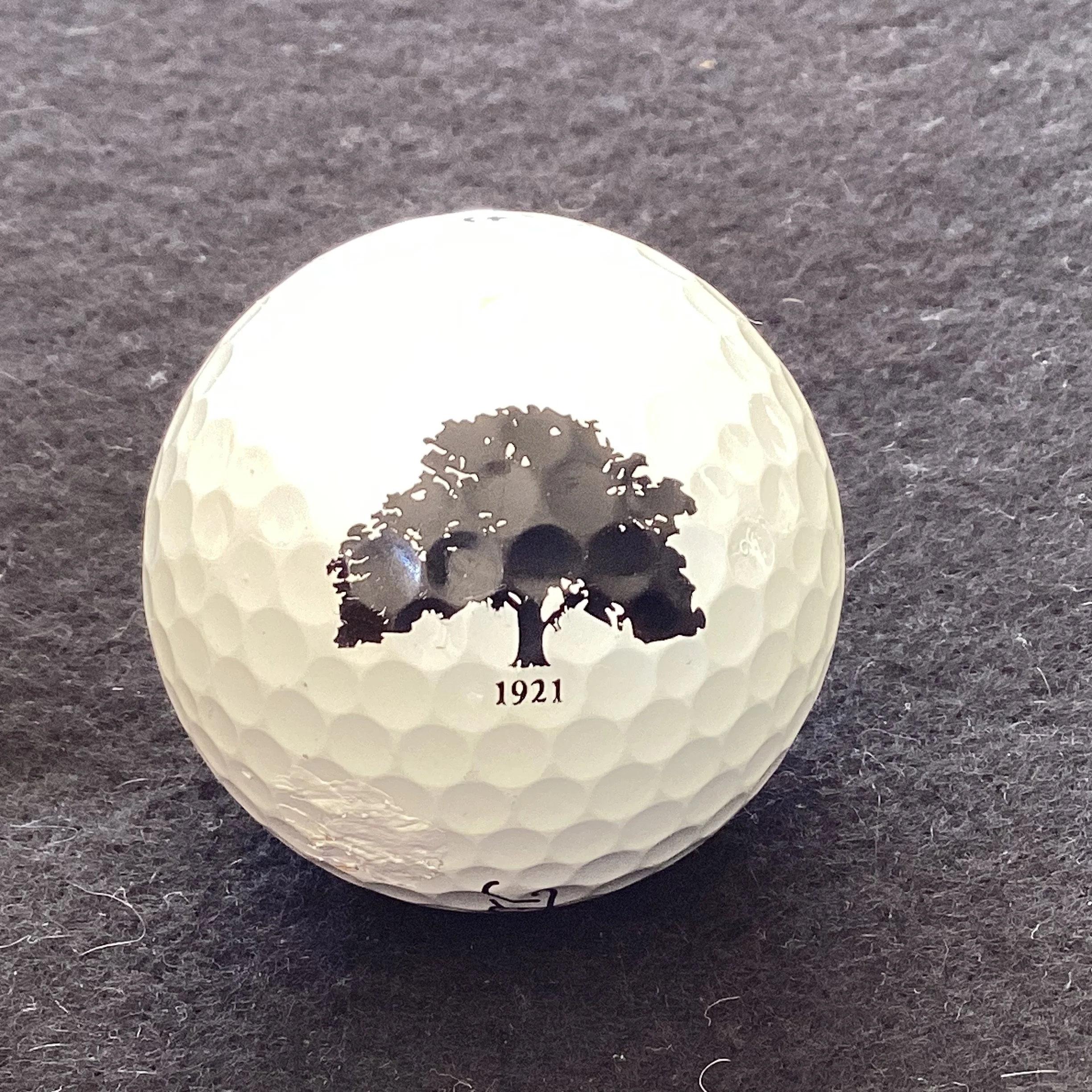 Tree 1921