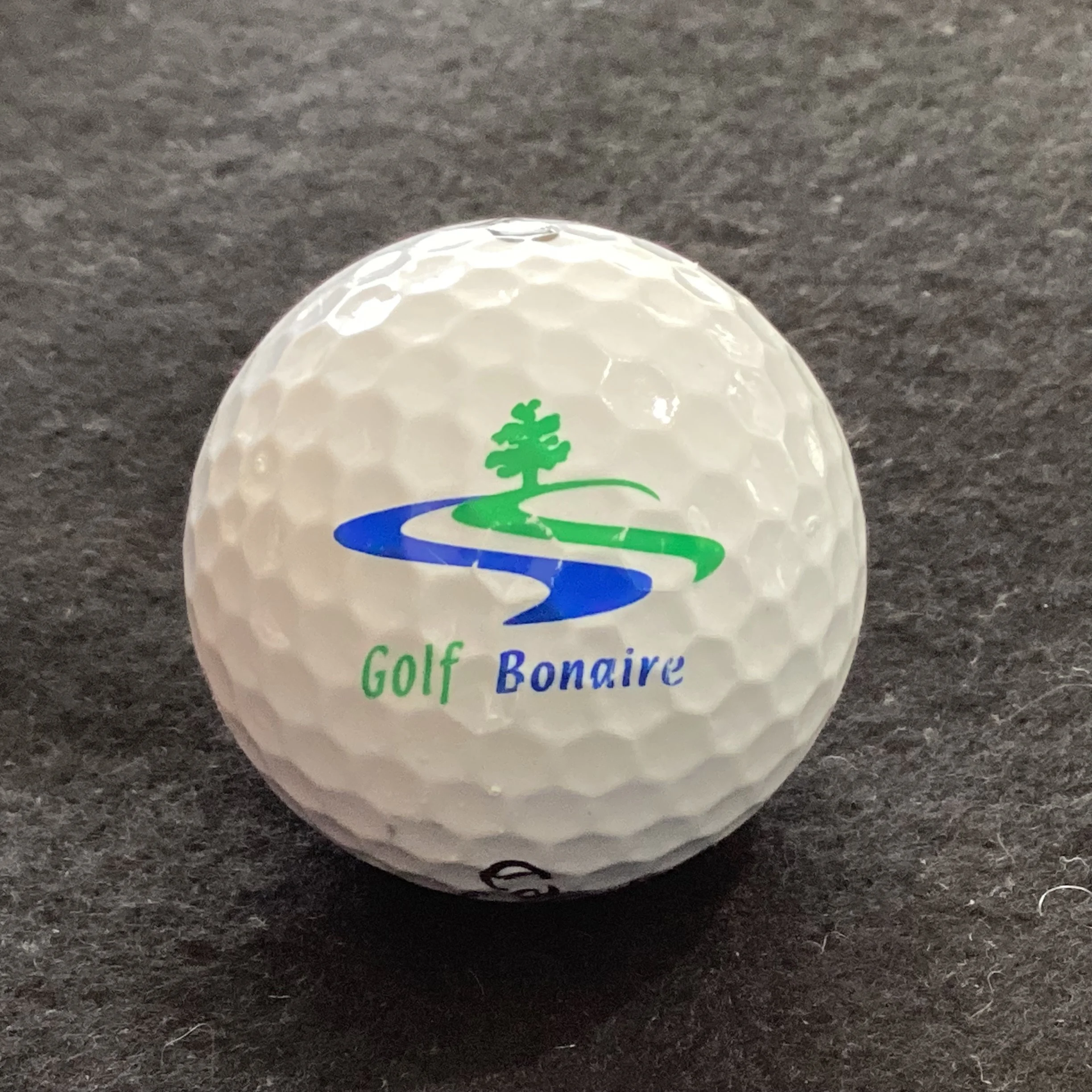Bonaire Golf Course 