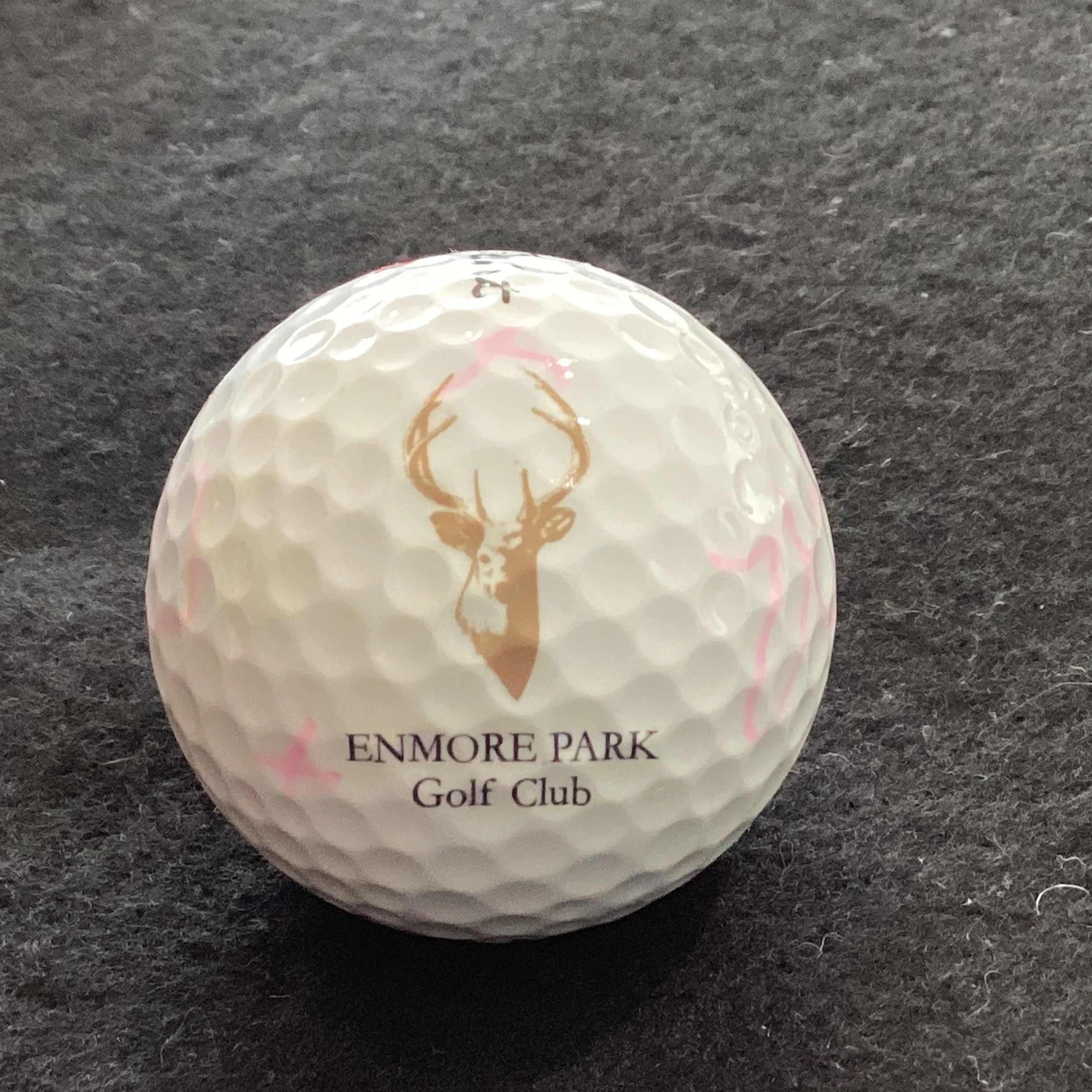 Enmore Park Golf Club 