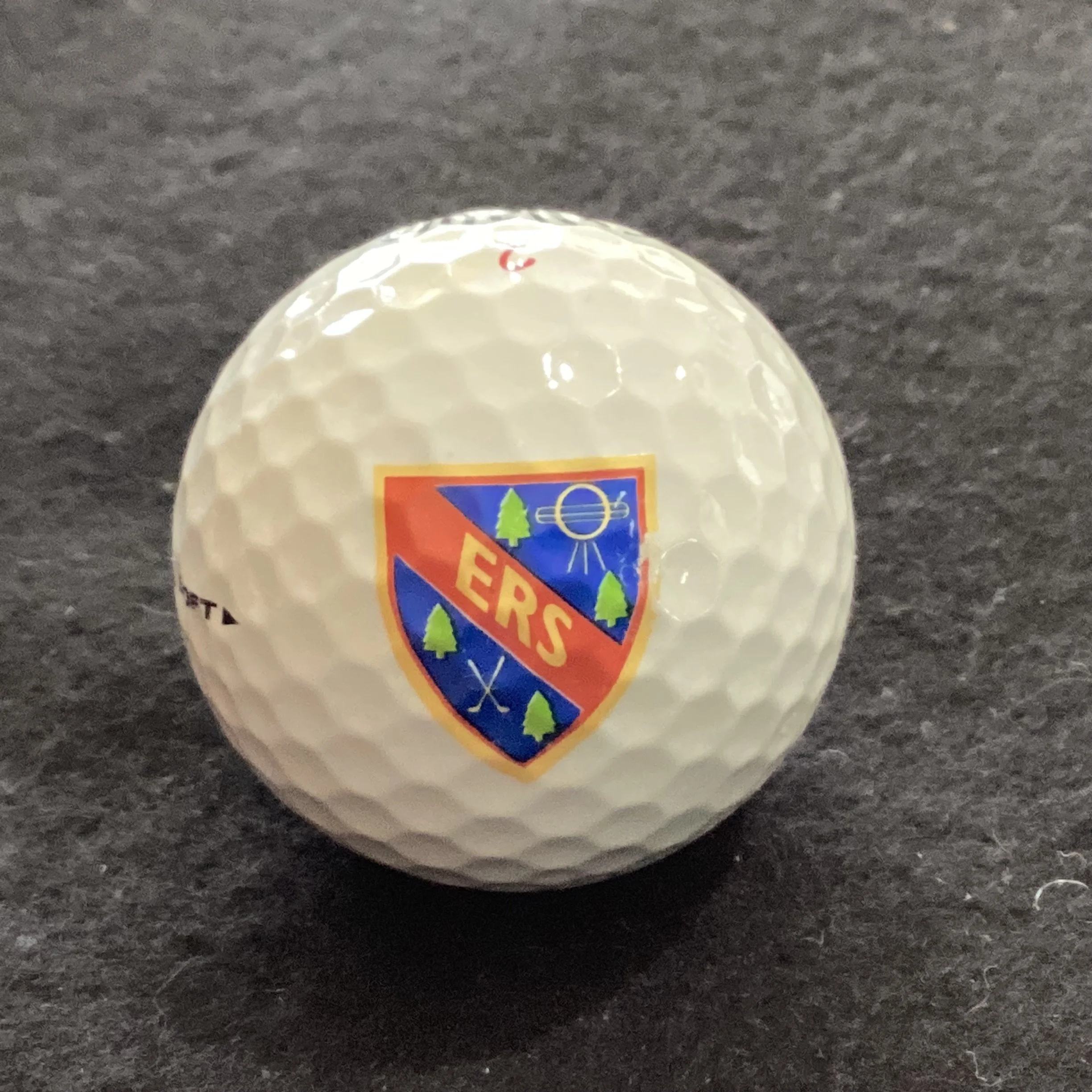 Eastern Radiological Society Social Golf Club 