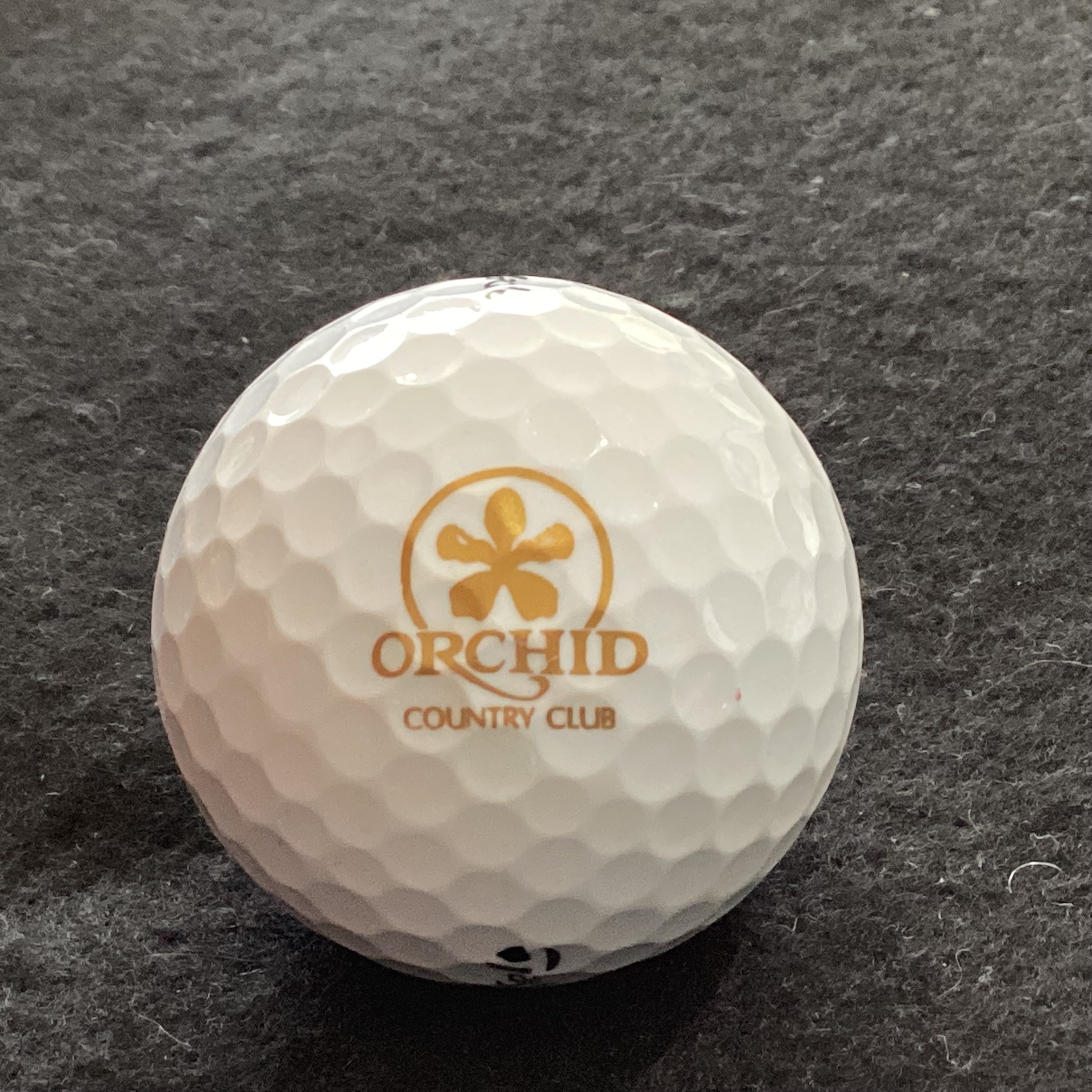 Orchid Country Club 