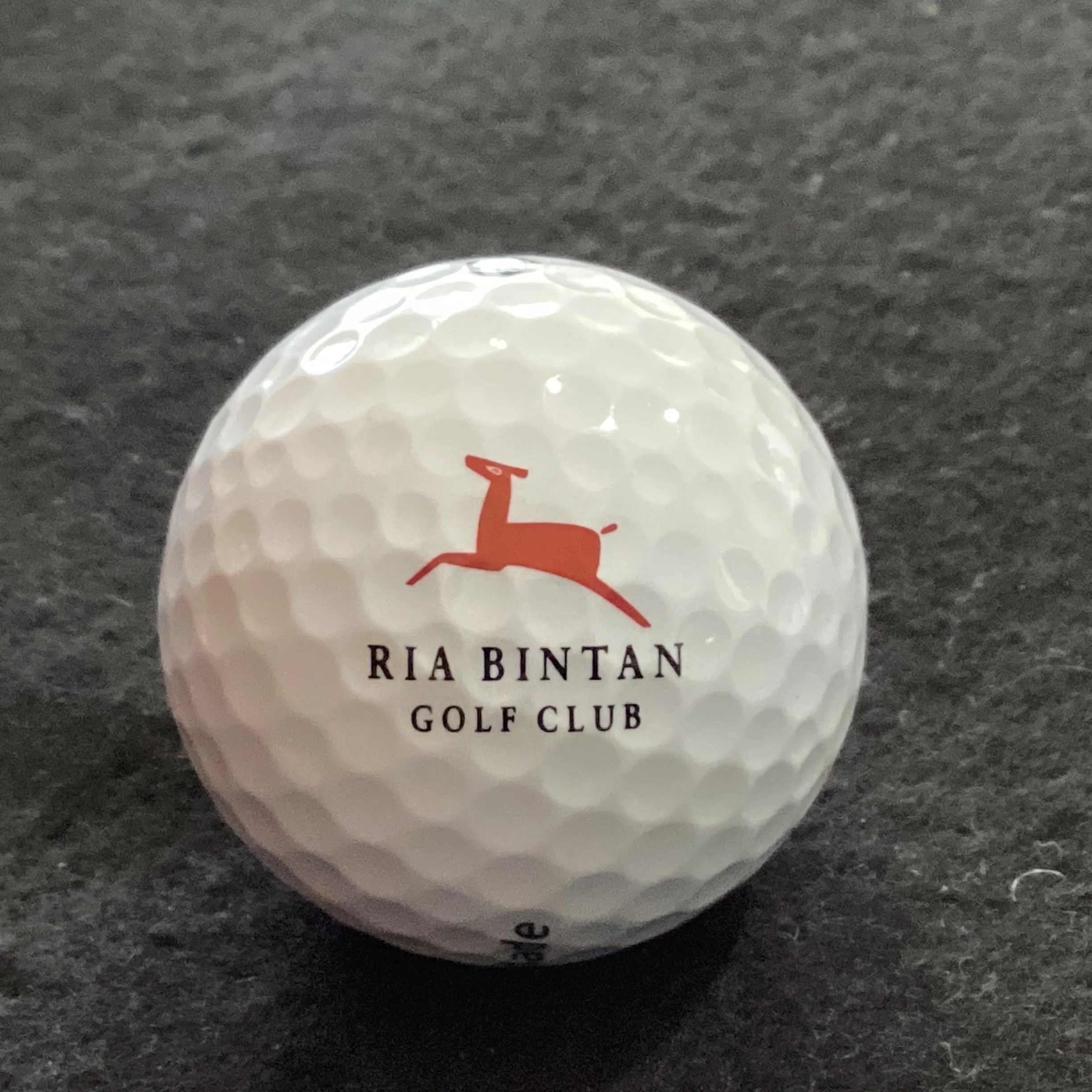Ria Bintan Golf Club