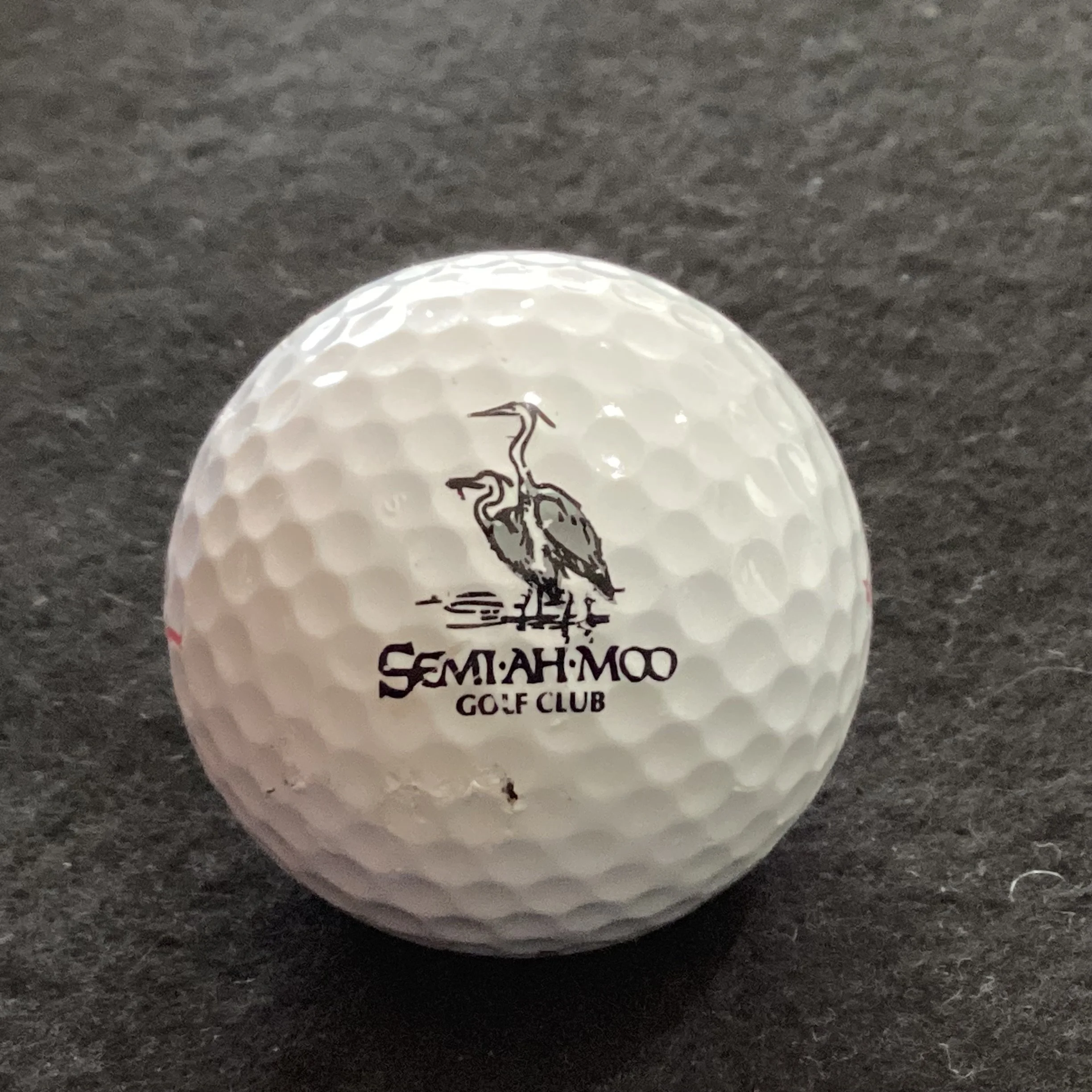 Semi Ah Moo Golf Club 