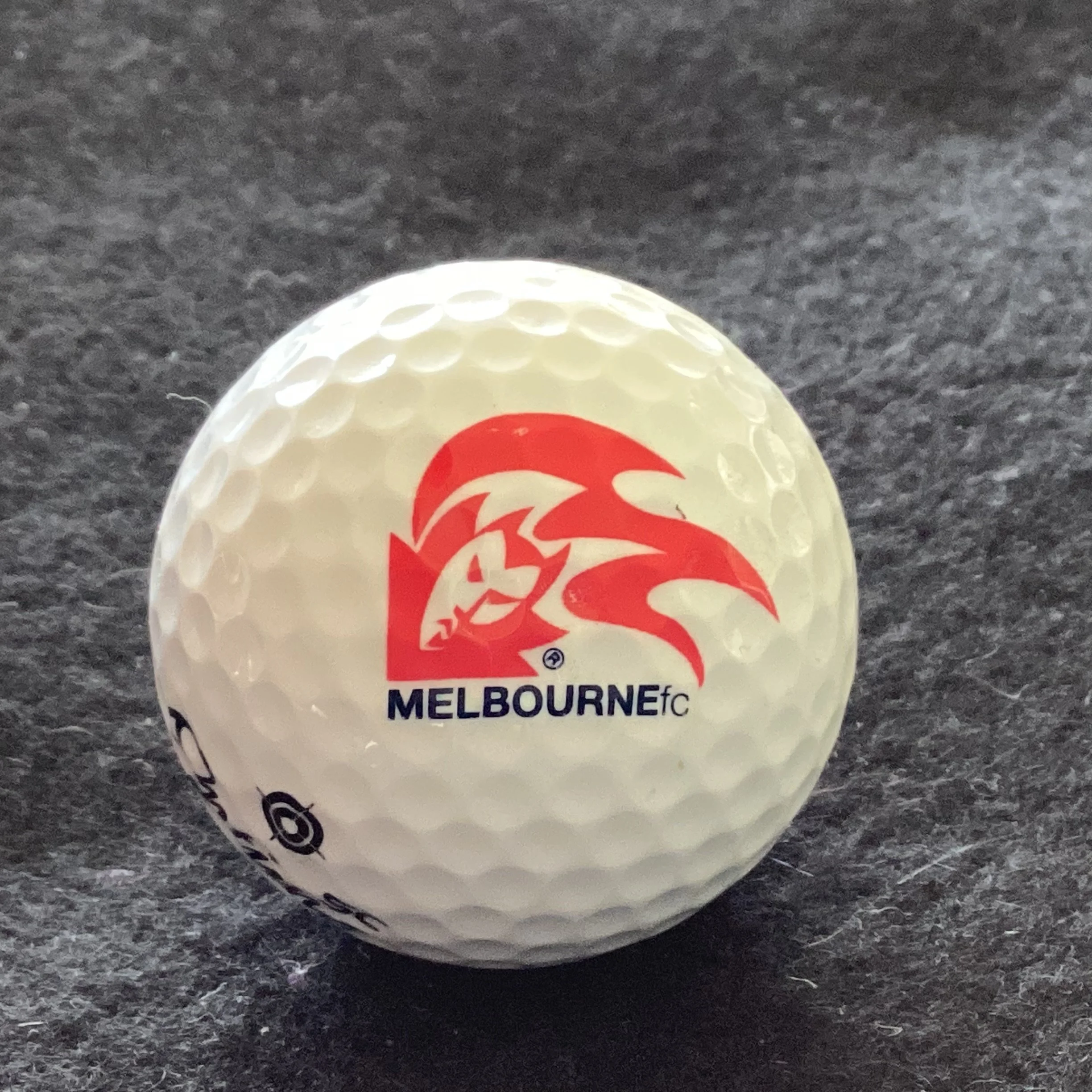 Melbourne Football Club 