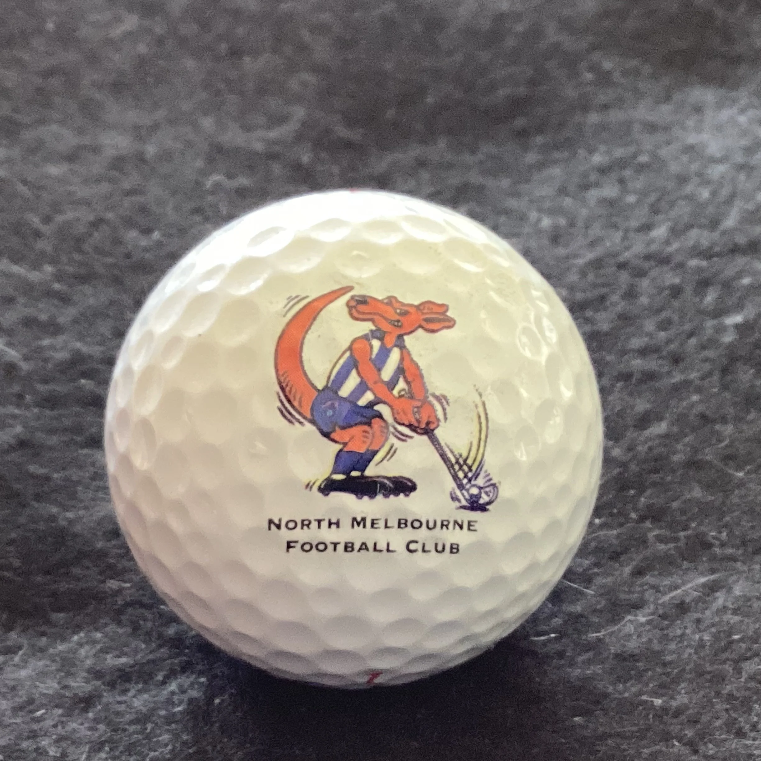 North Melbourne Football Club 