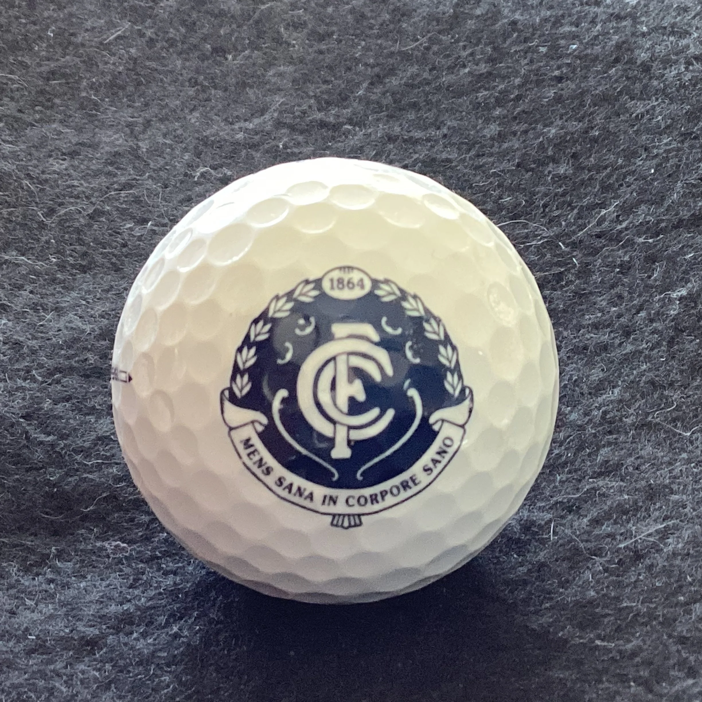 Carlton Football Club 