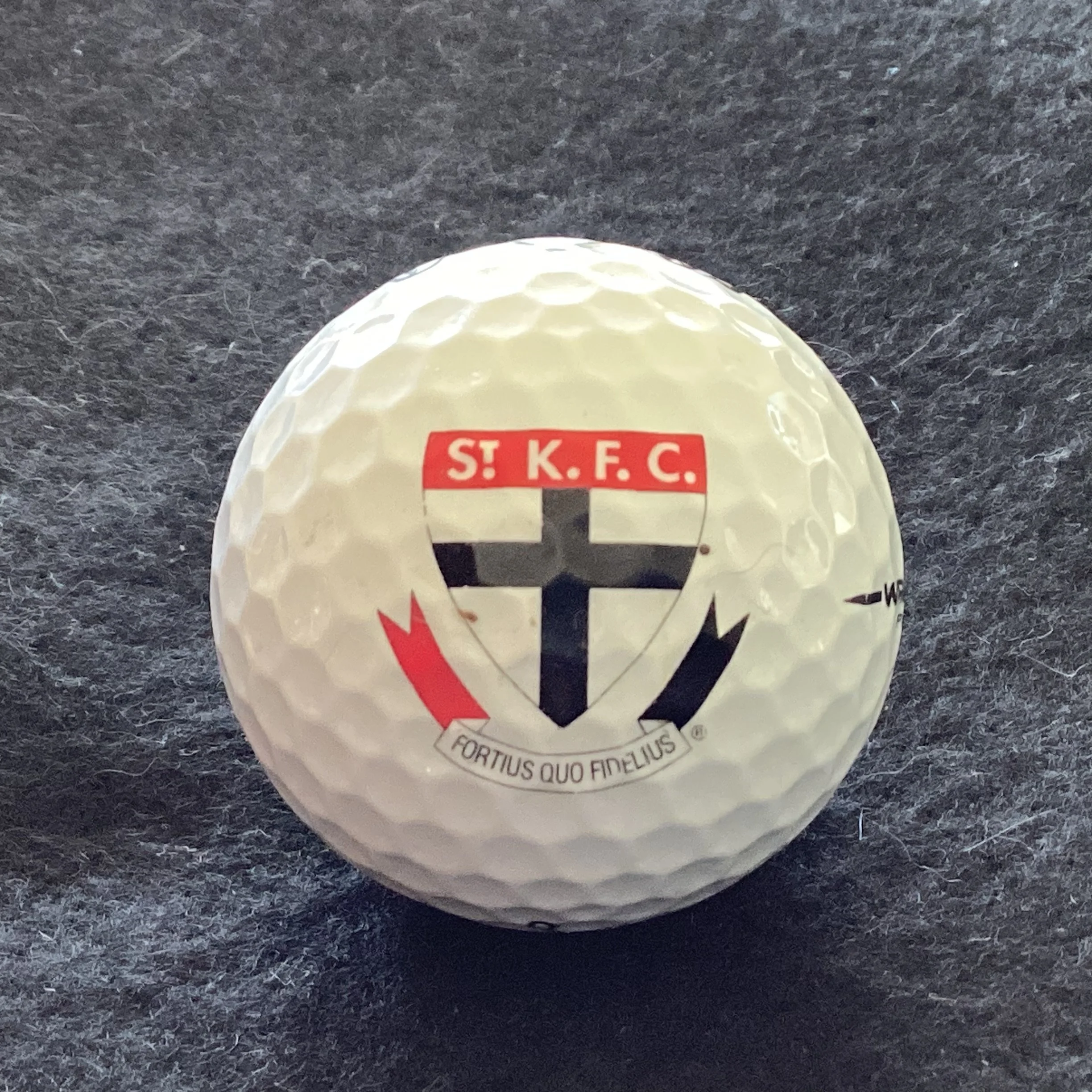 St Kilda Football Club 