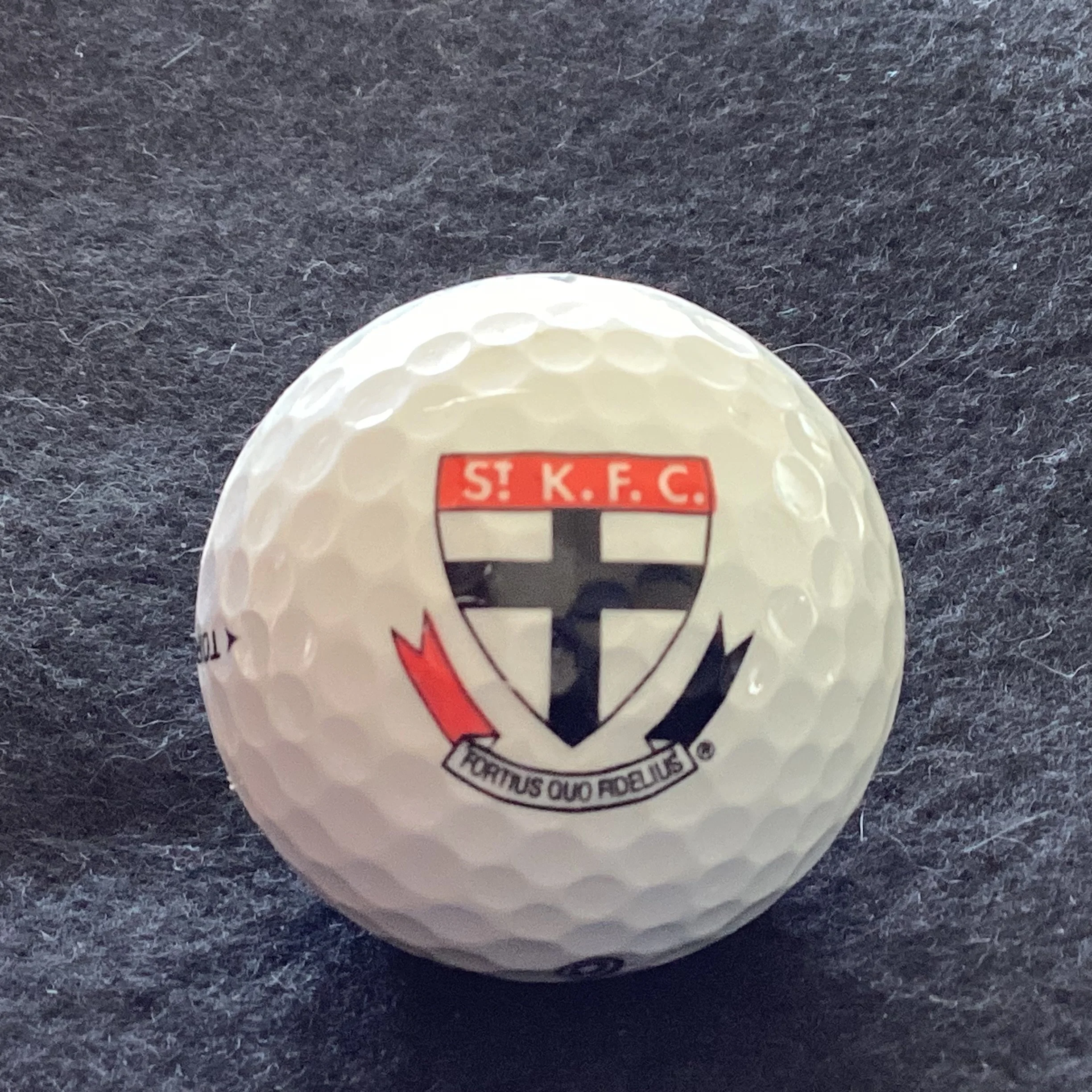 St Kilda Football Club 