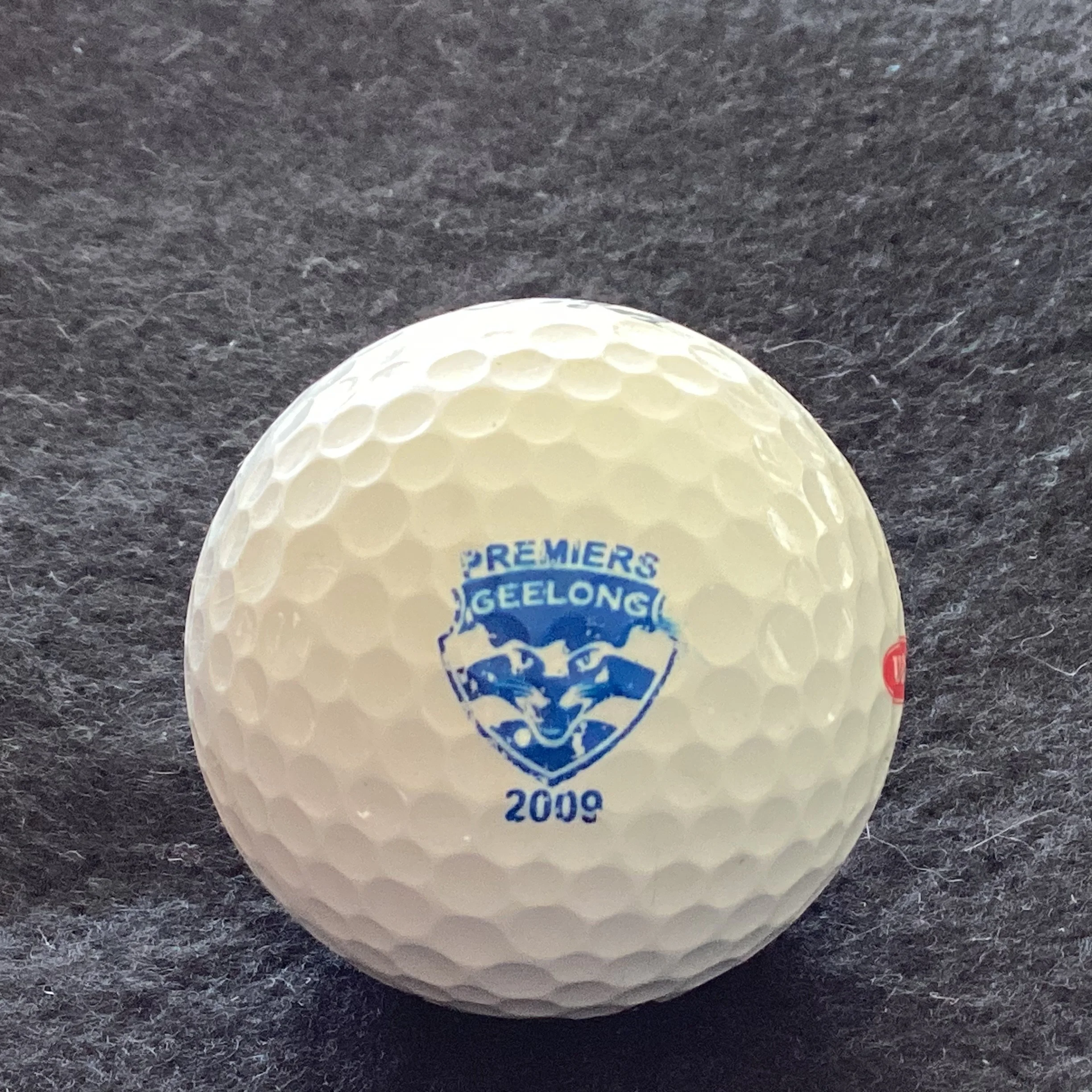 Geelong Football Club - Premiers 2009