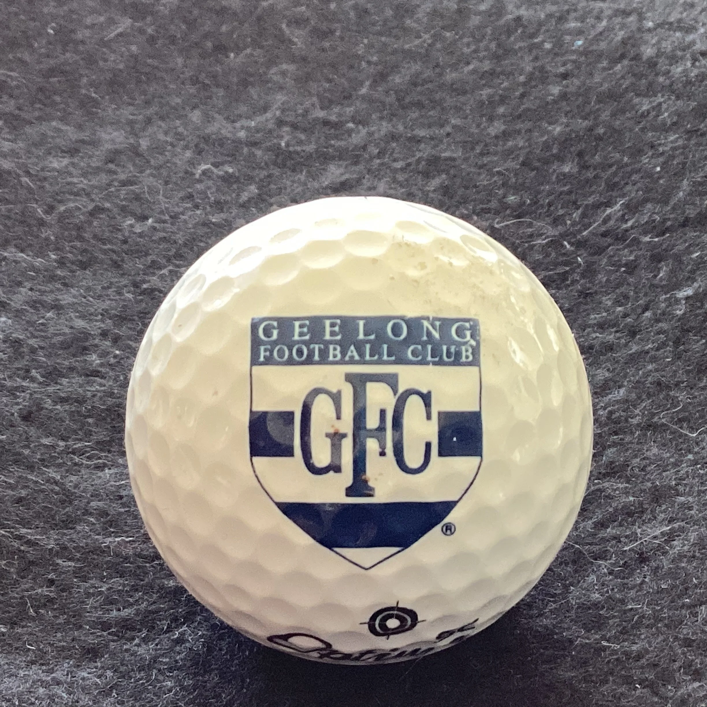 Geelong Football Club 