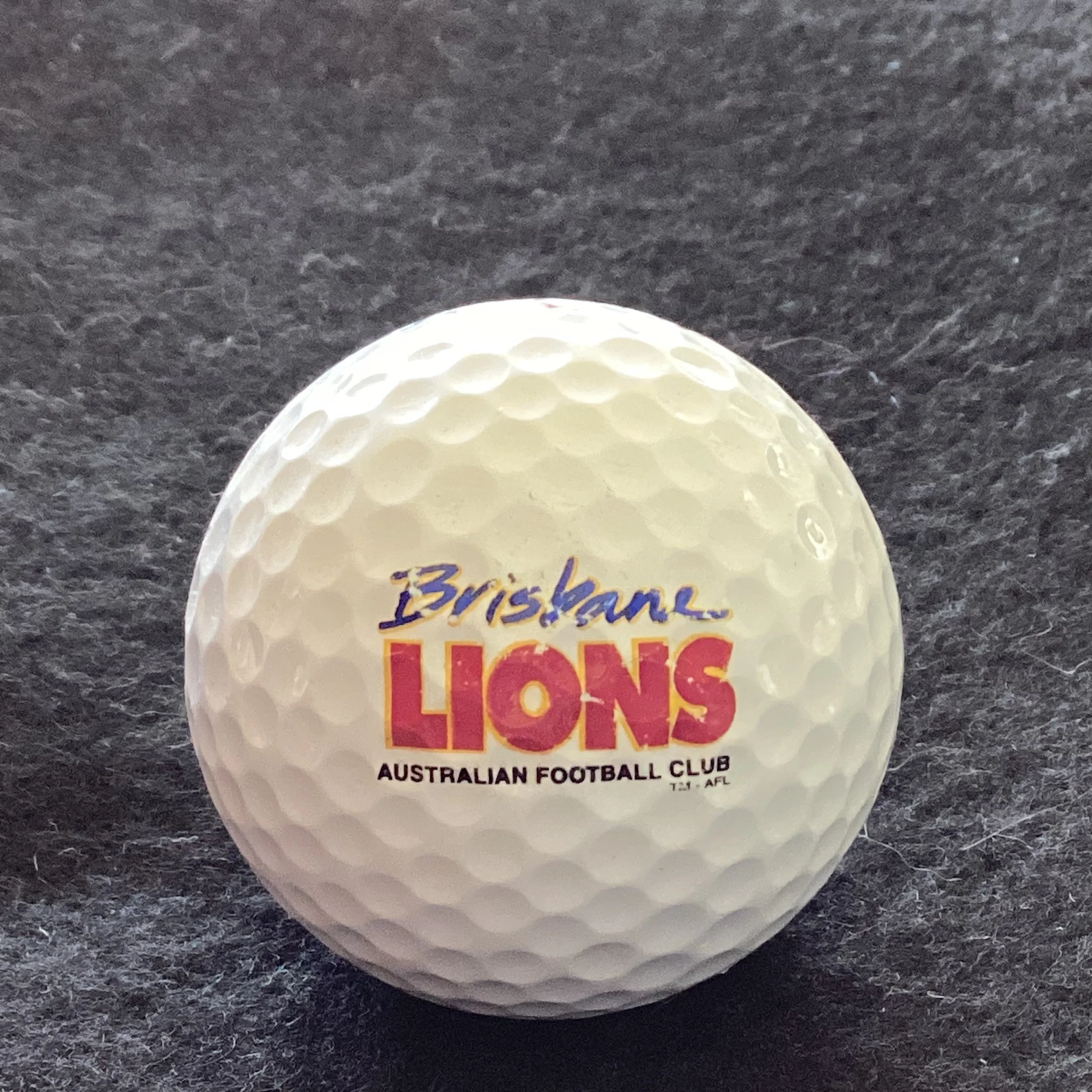 Brisbane Lions Australian Football Club 