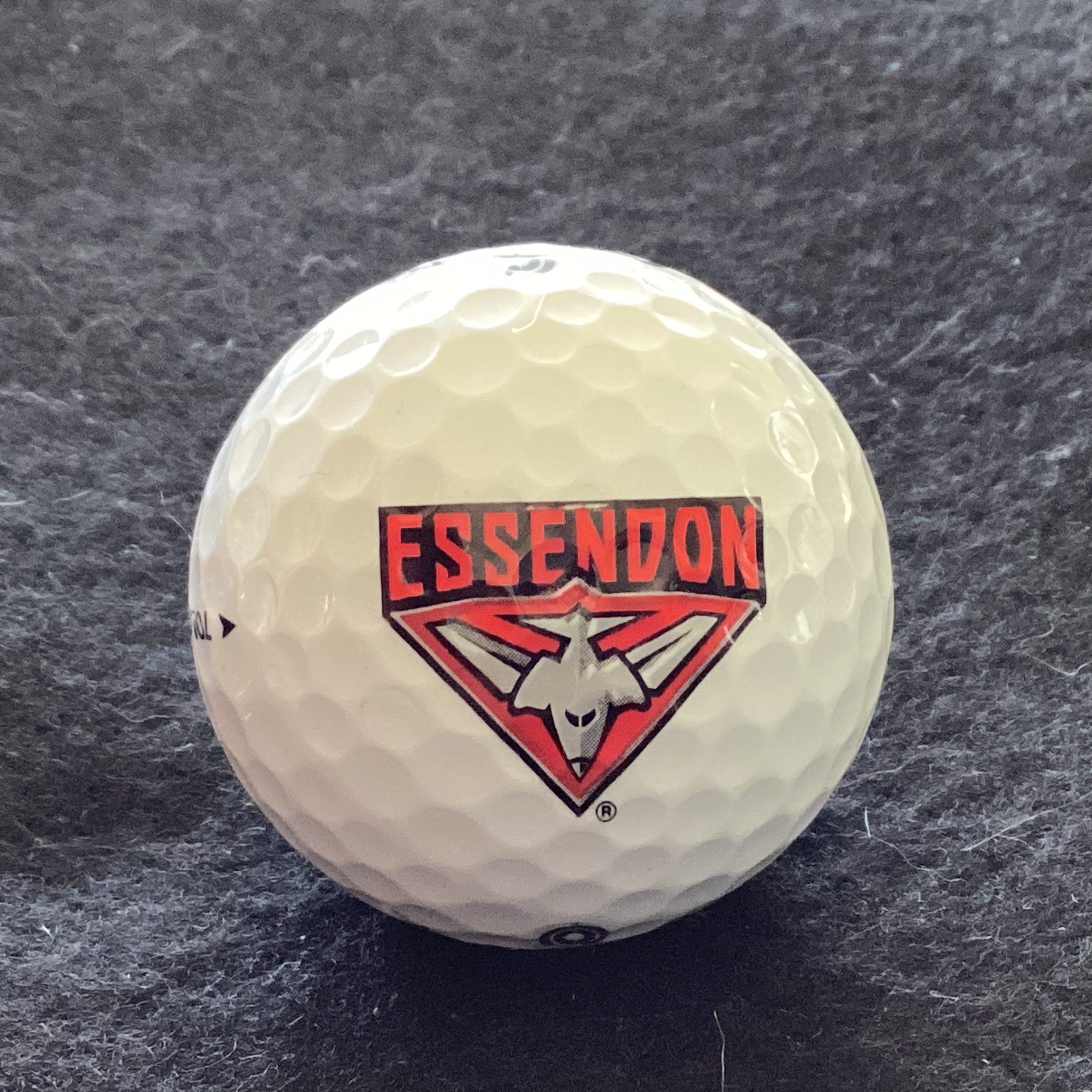 Essendon Football Club Bombers