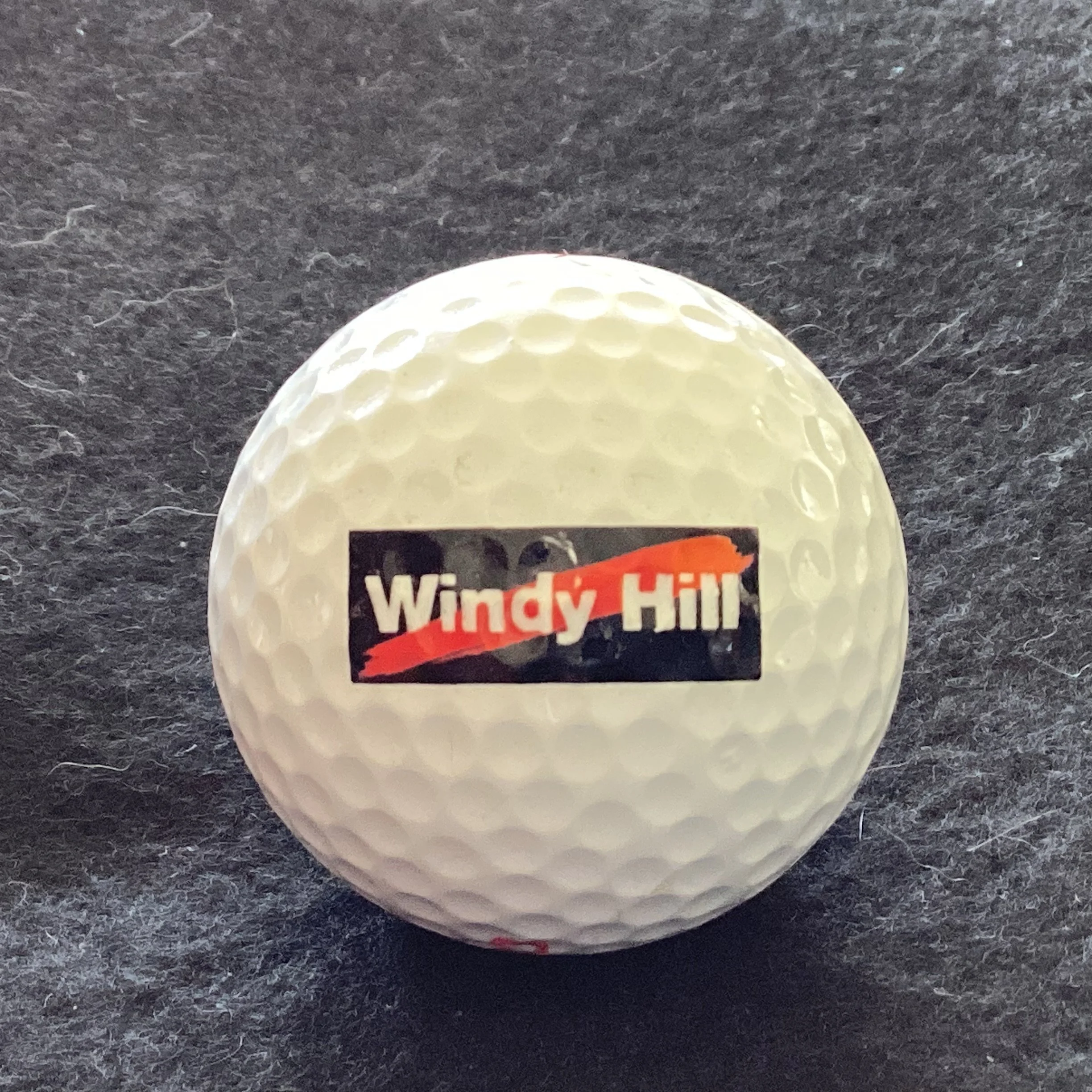 Essendon Football Club - Windy Hill Coterie Group