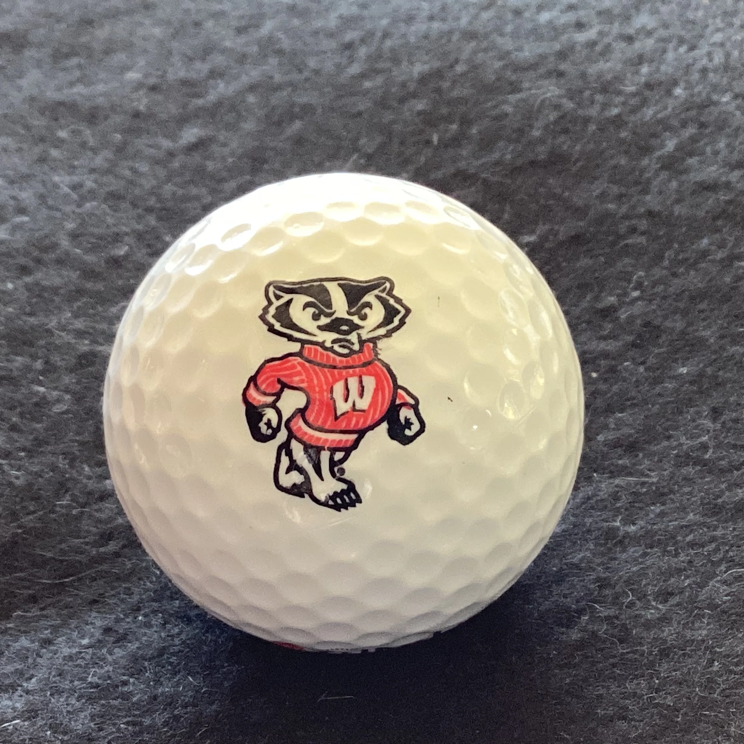 Wisconsin Badgers 