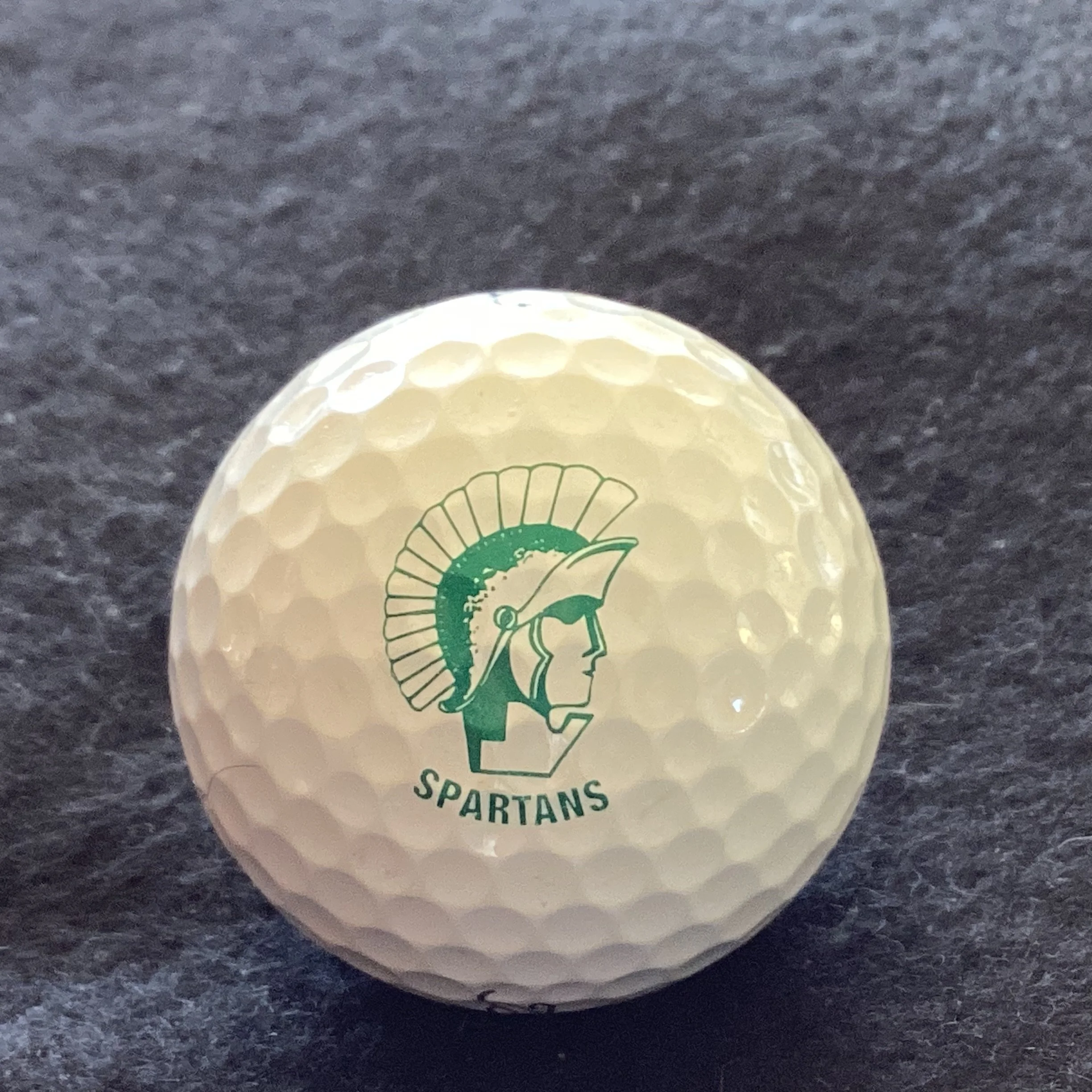Michigan State Spartans