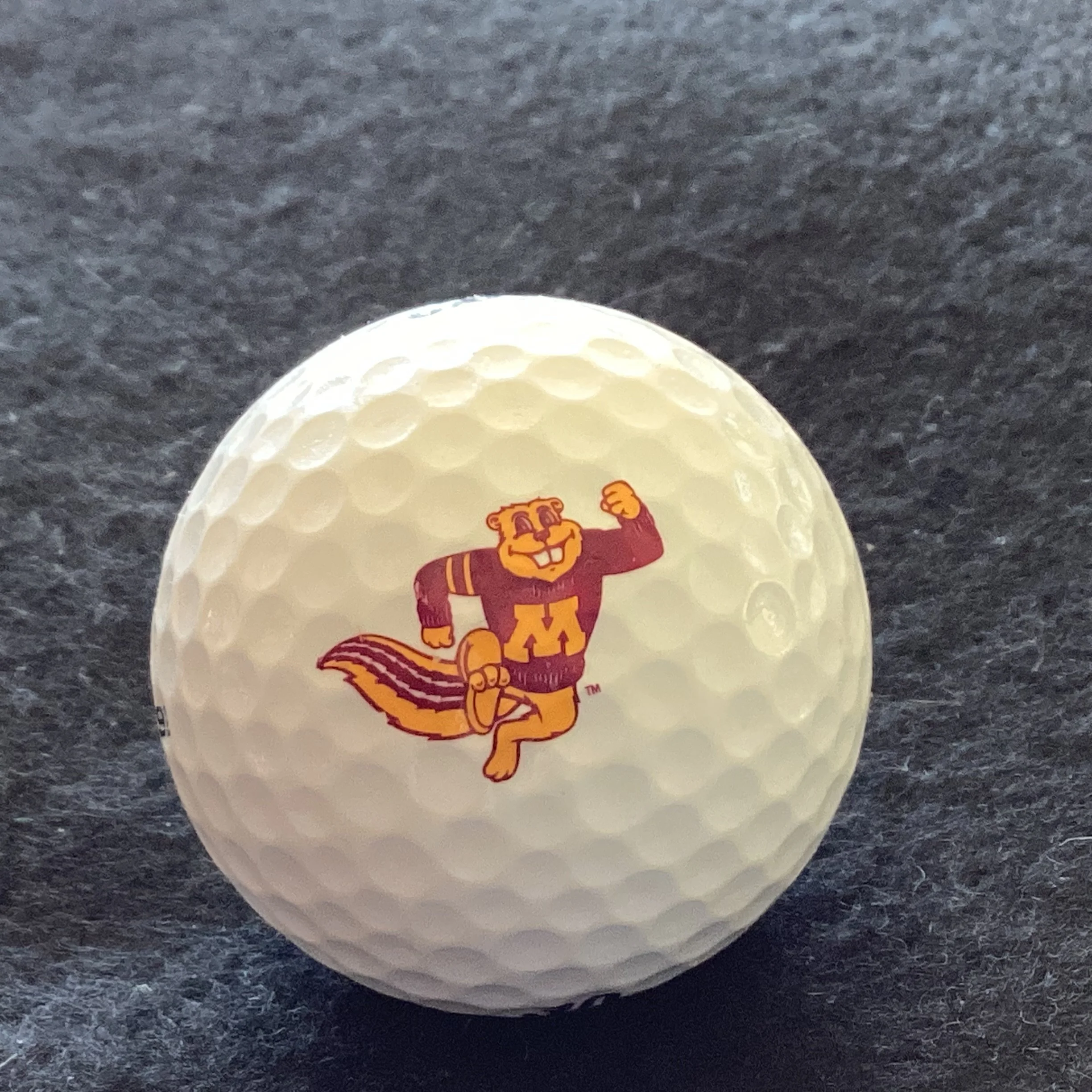 Minnesota University Gophers