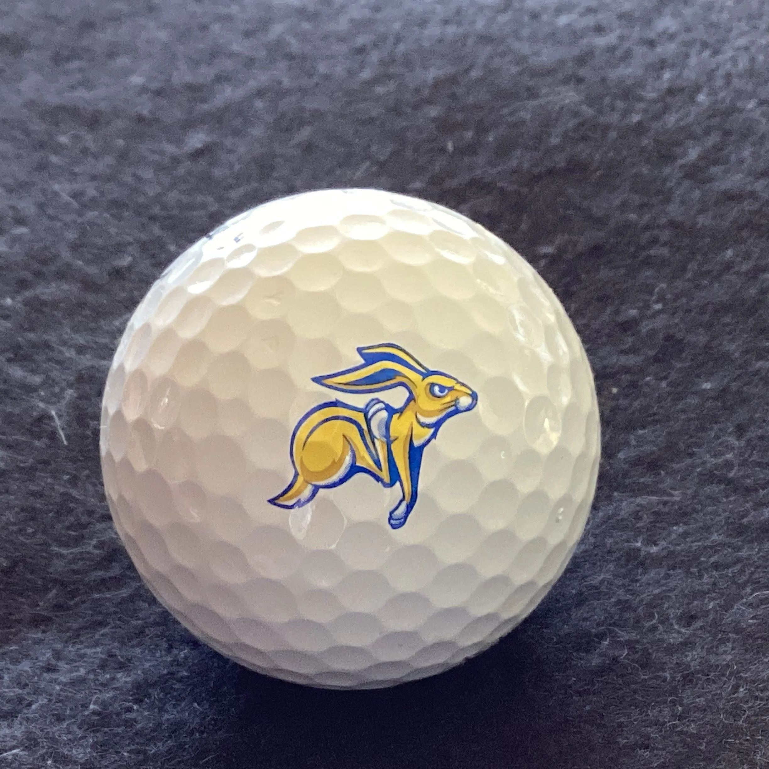 South Dakota State University Jackrabbits 
