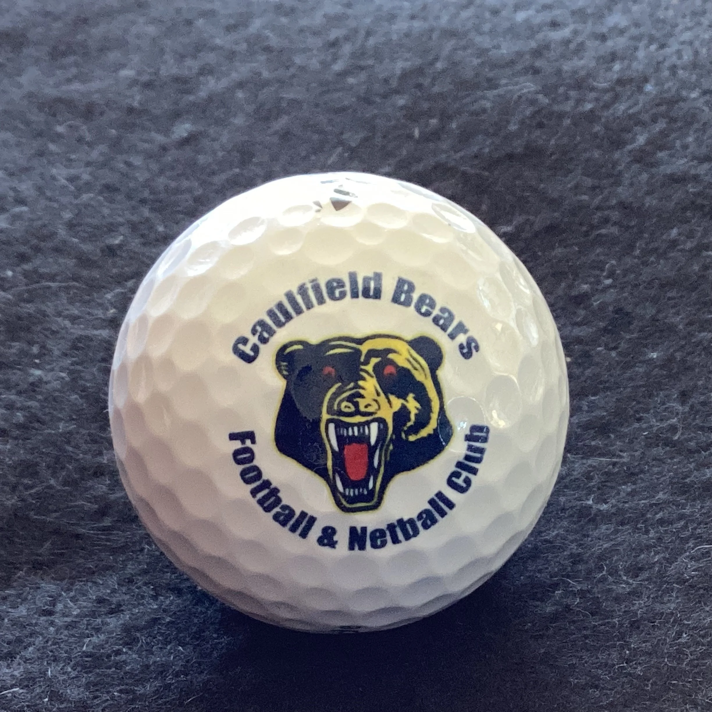Caulfield Bears Football and Netball Club 