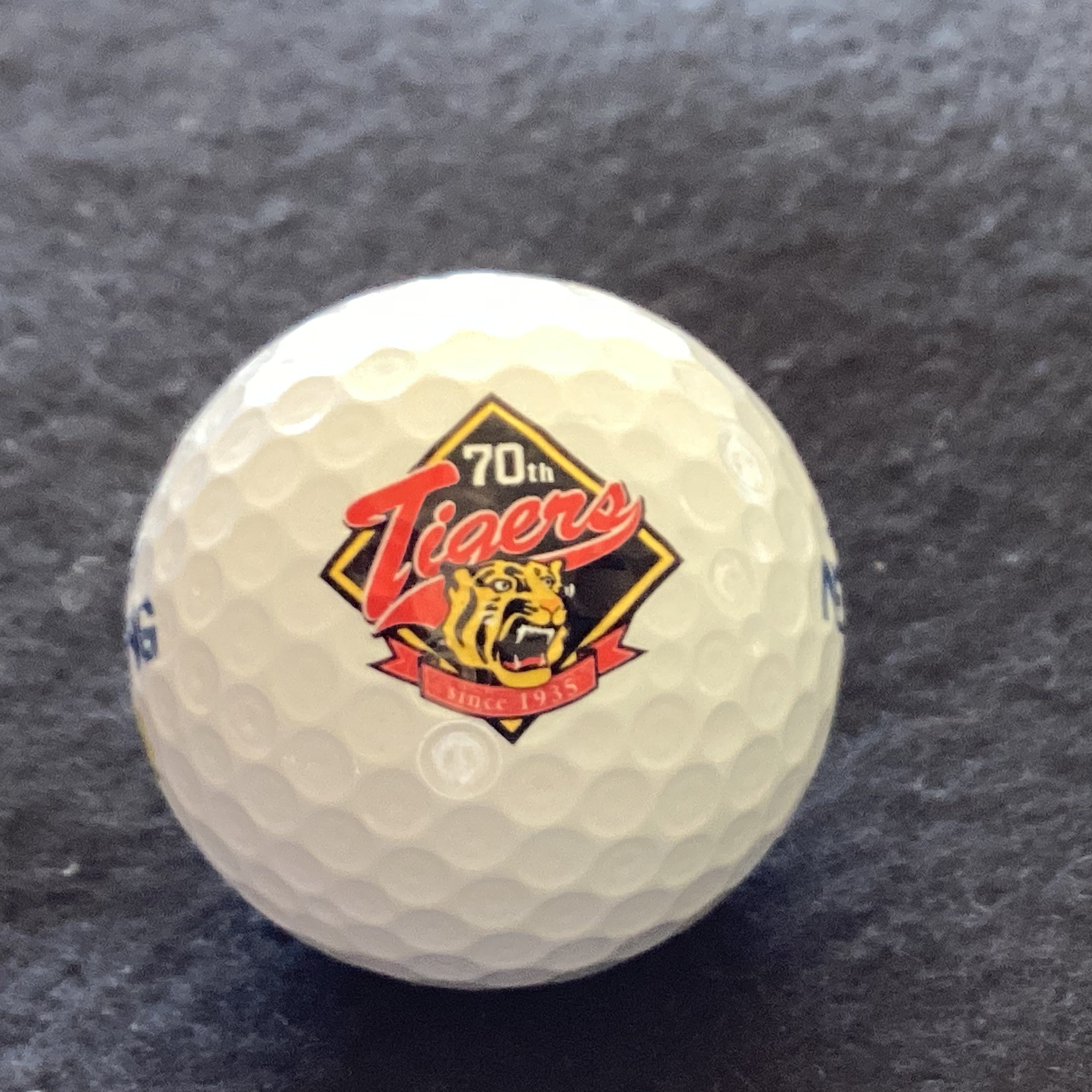 Hanshin Tigers Baseball Club 