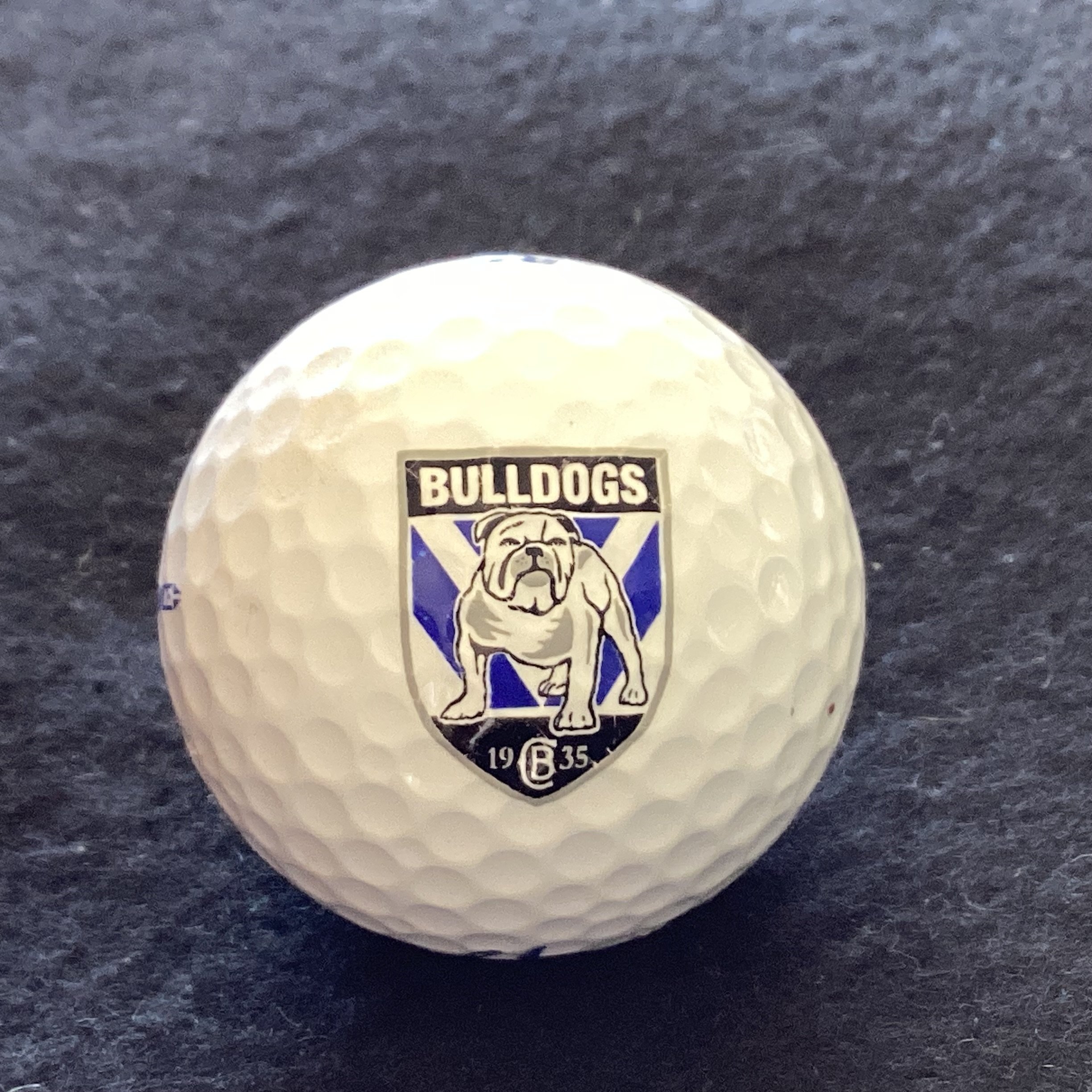 Canterbury Bankstown Bulldogs
