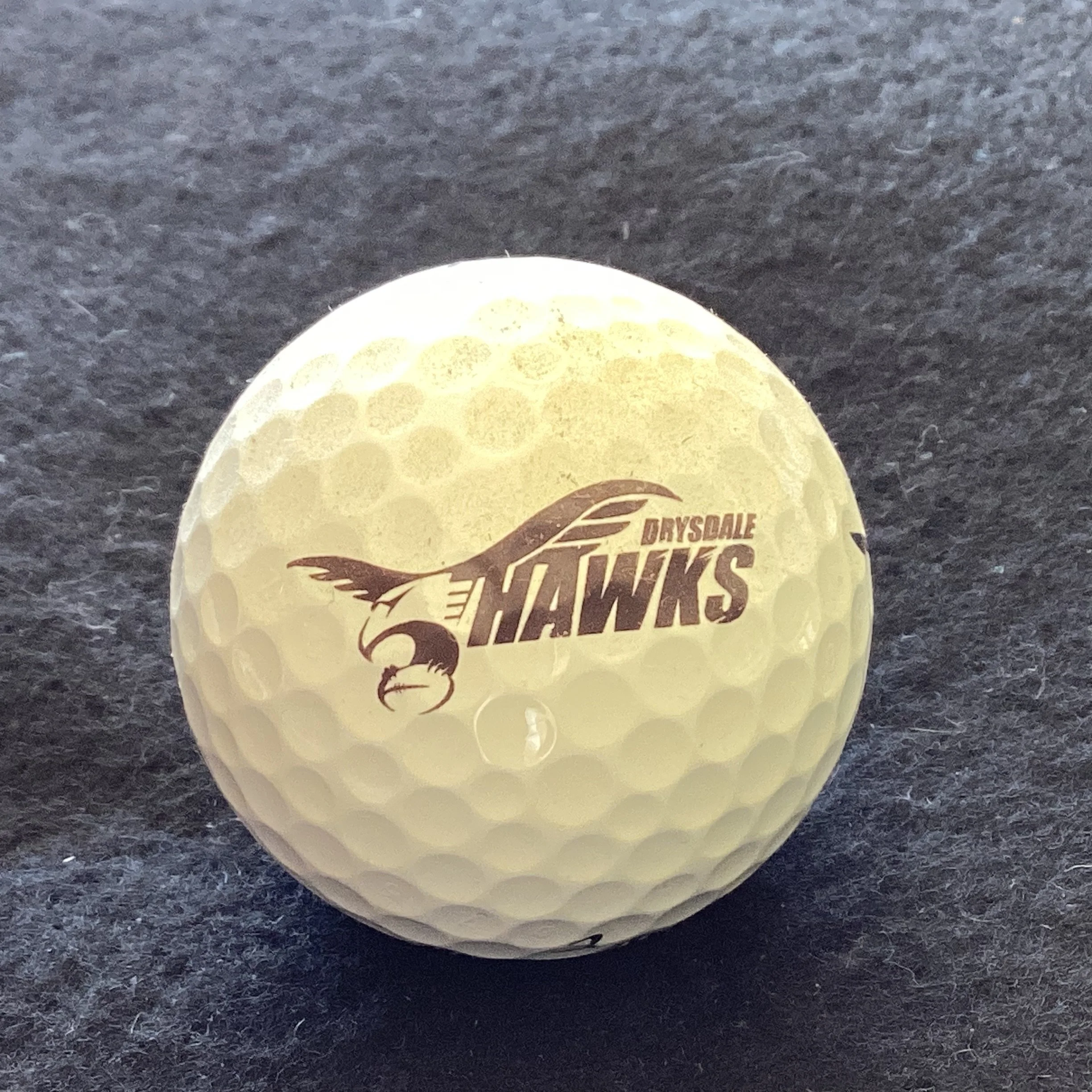 Drysdale Hawks