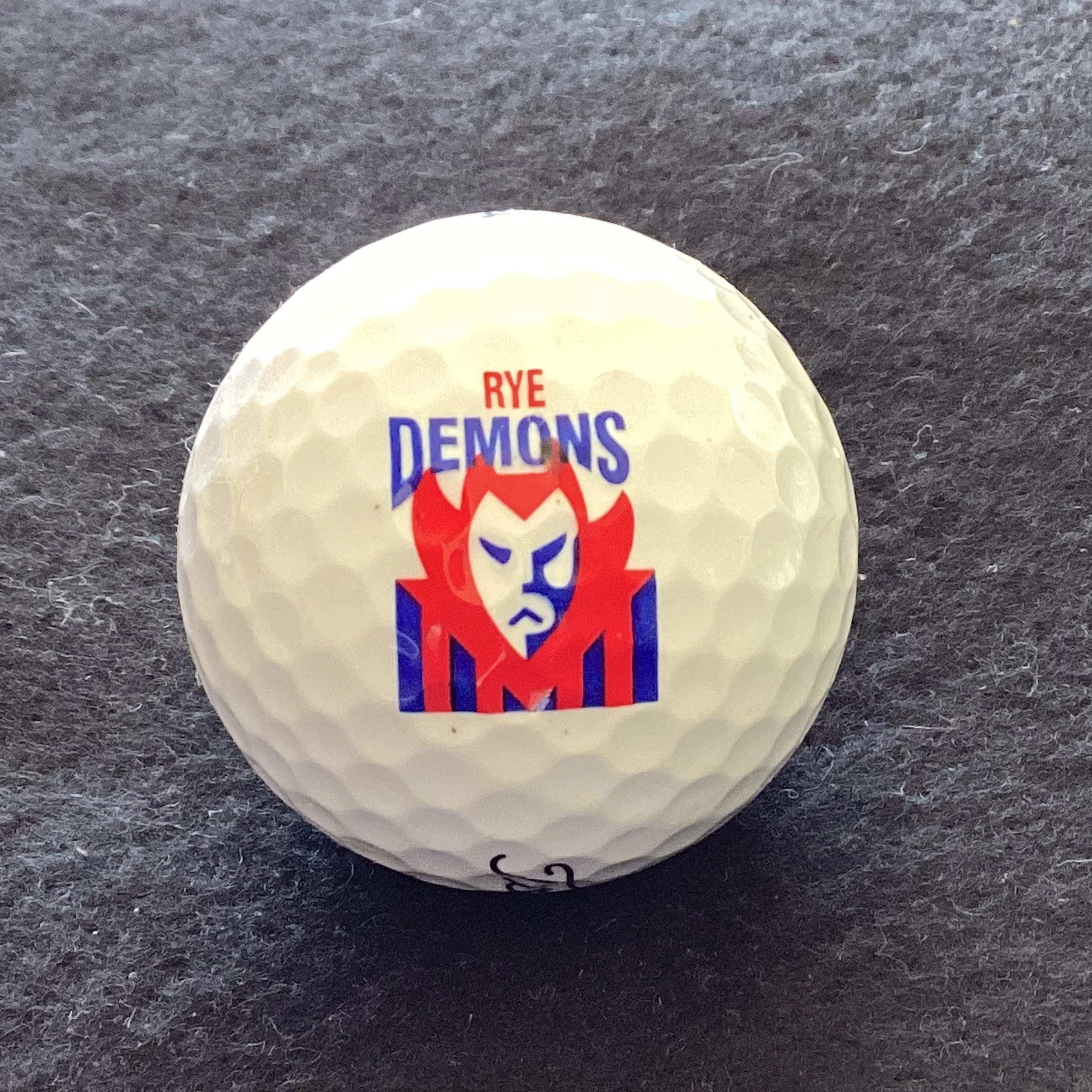 Rye Demons Football and Netball Club 