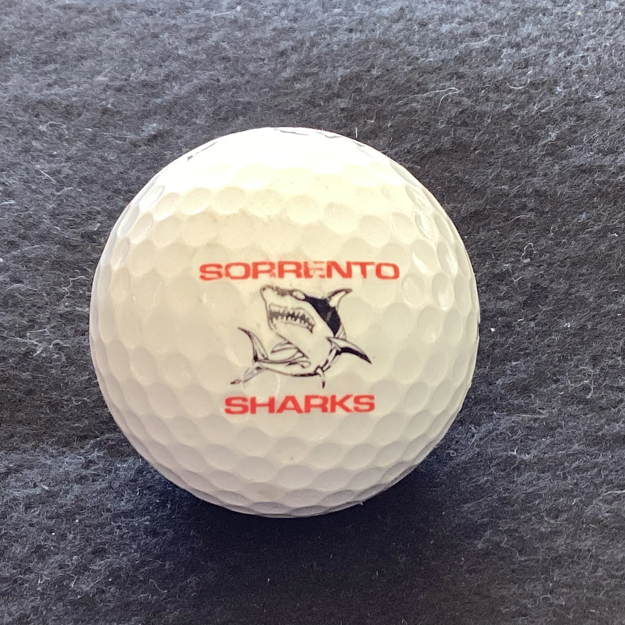 Sorrento Sharks Football and Netball Club 