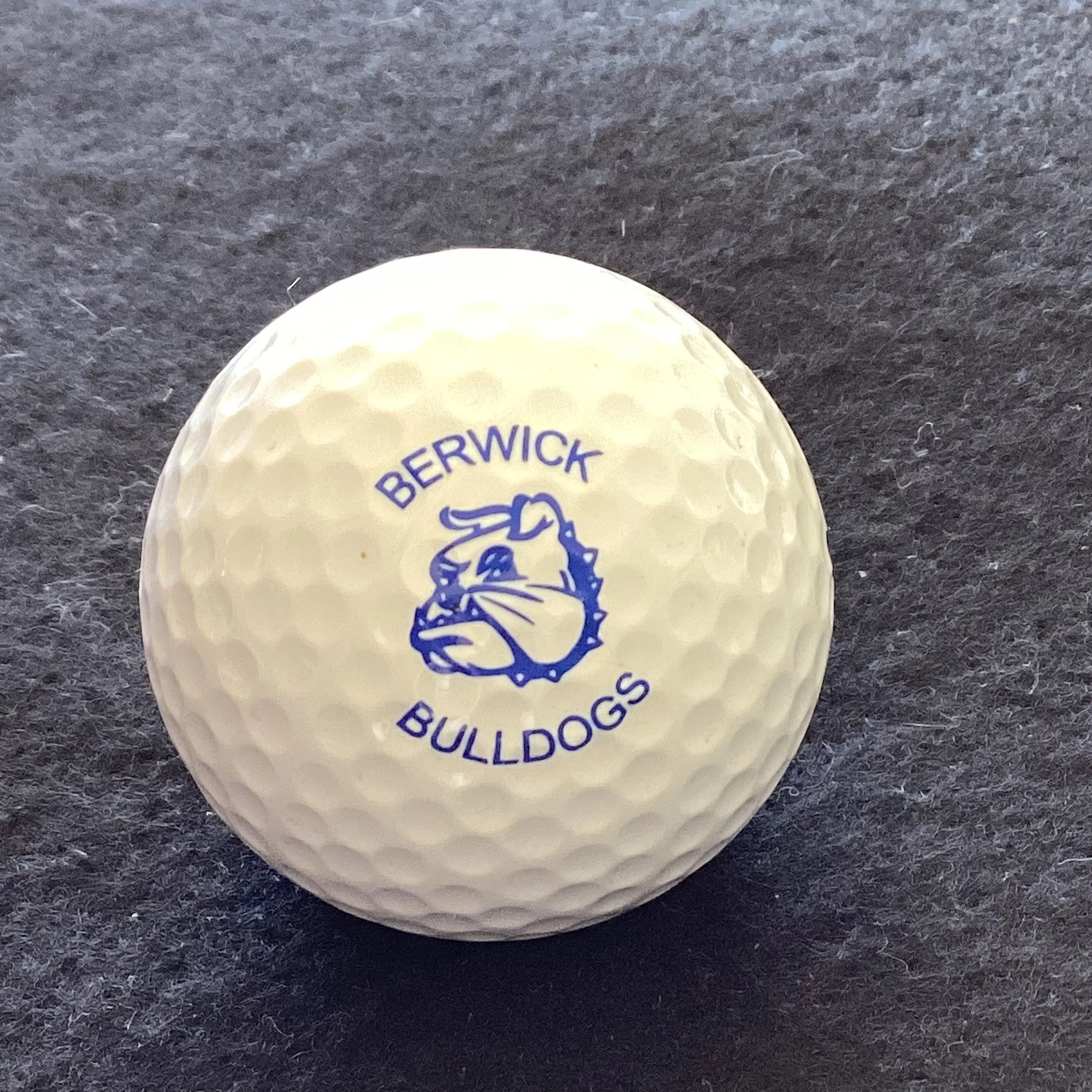Berwick High Bulldogs