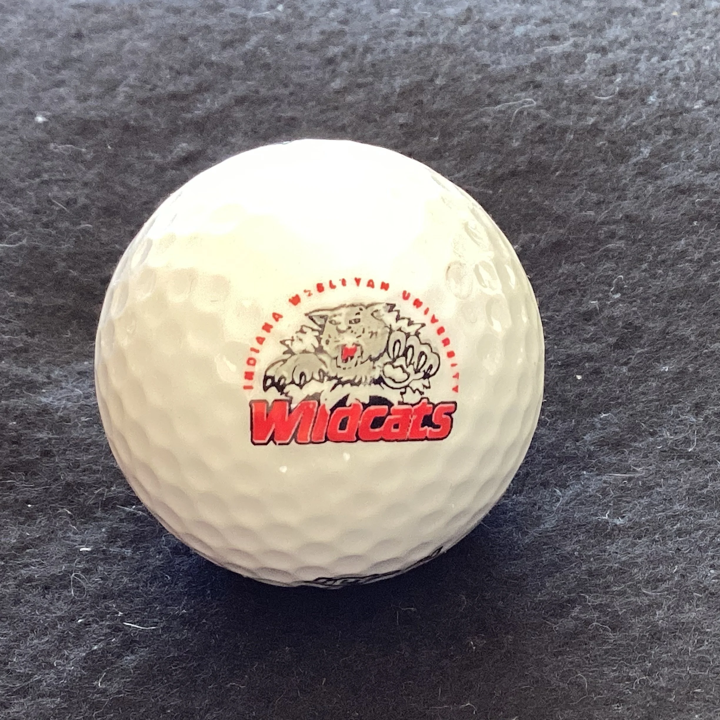 Indiana Wesleyan University Wildcats