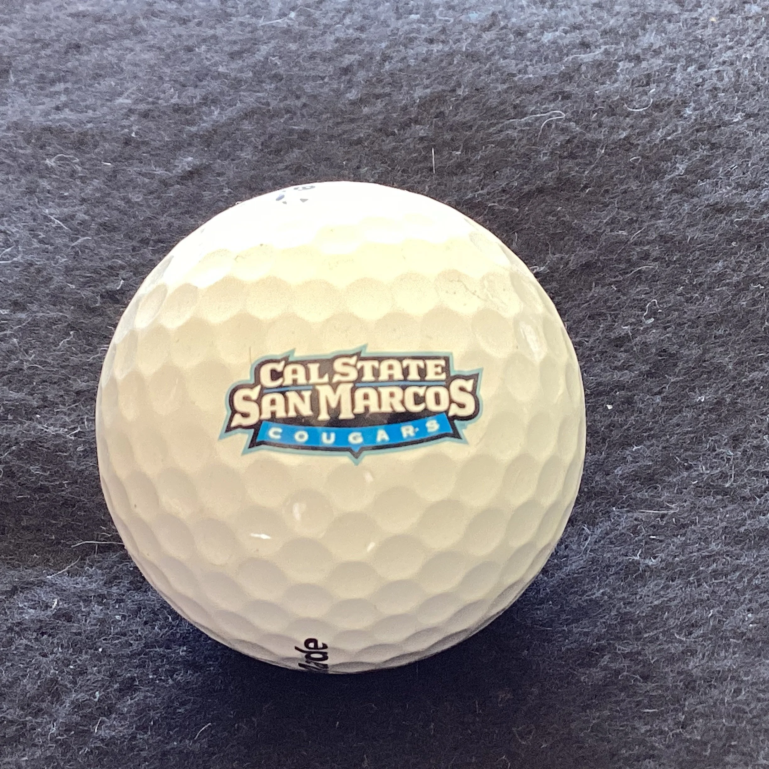 Cal State San Marcos Cougers