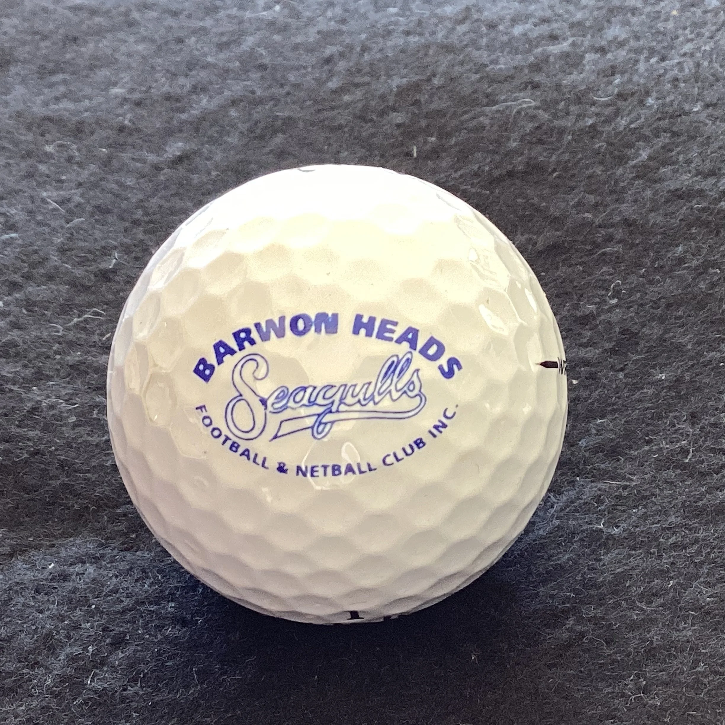 Barwon Heads Seagulls Football and Netball Club 