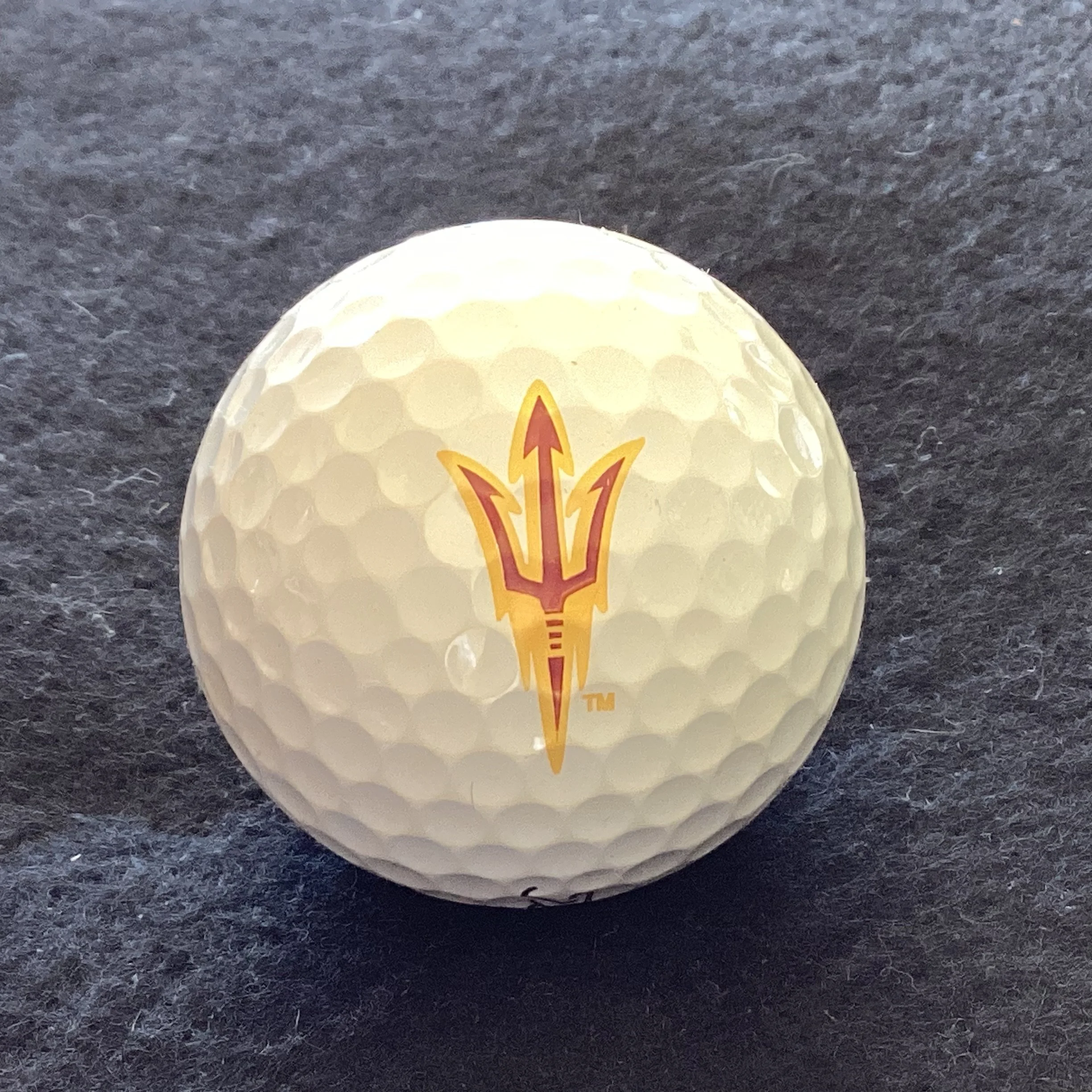 Arizona State University Sun Devils