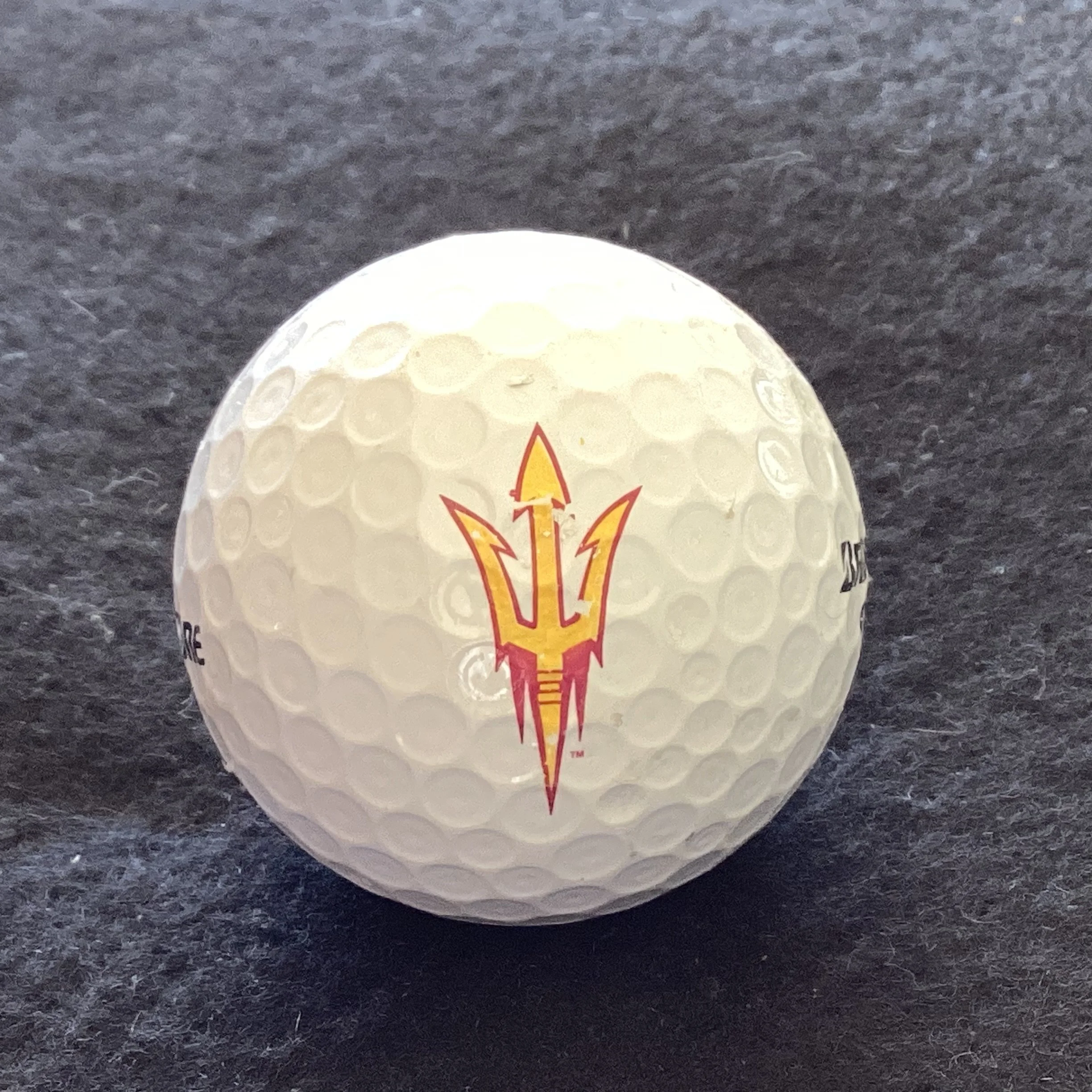 Arizona State University Sun Devils