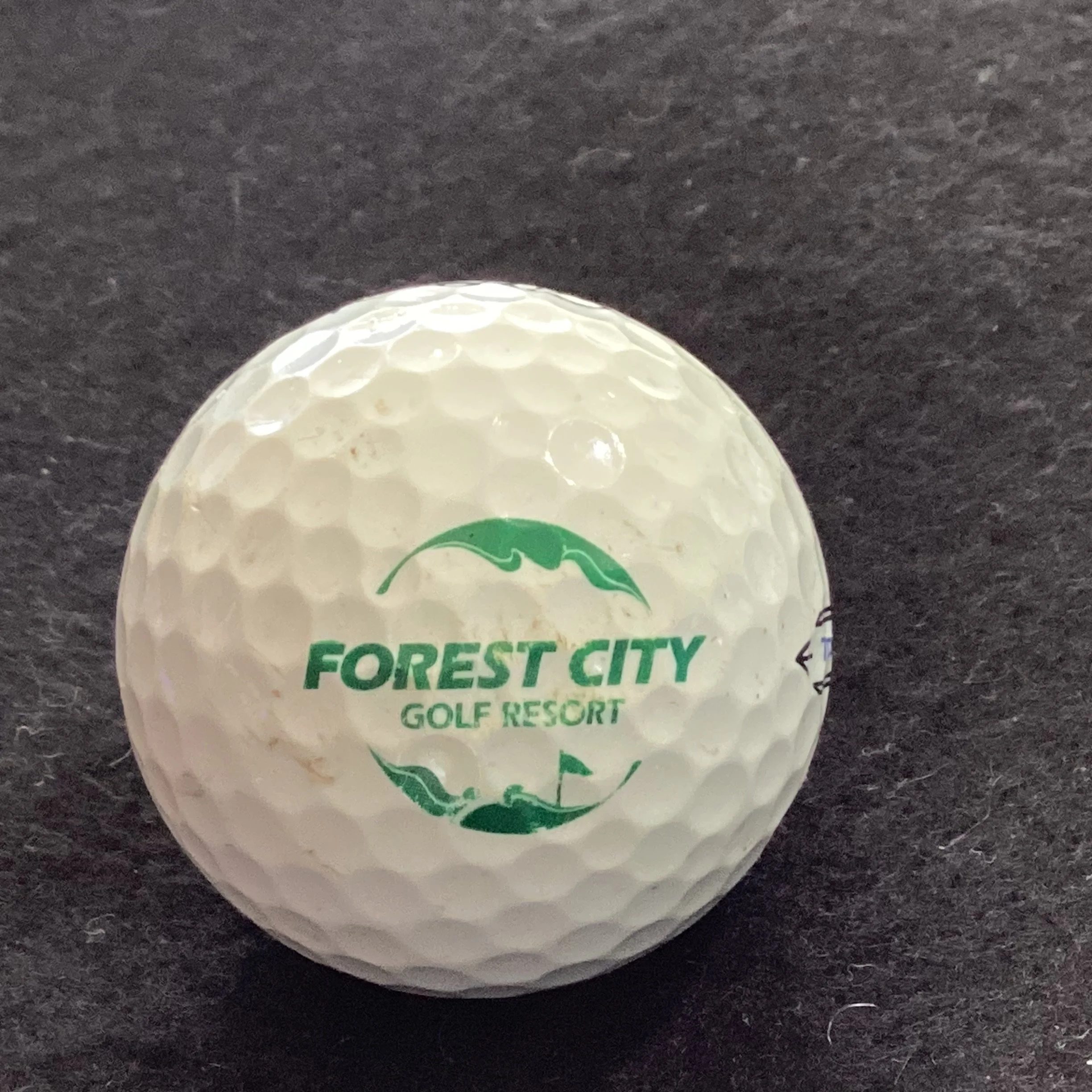 Forest City Golf Resort 