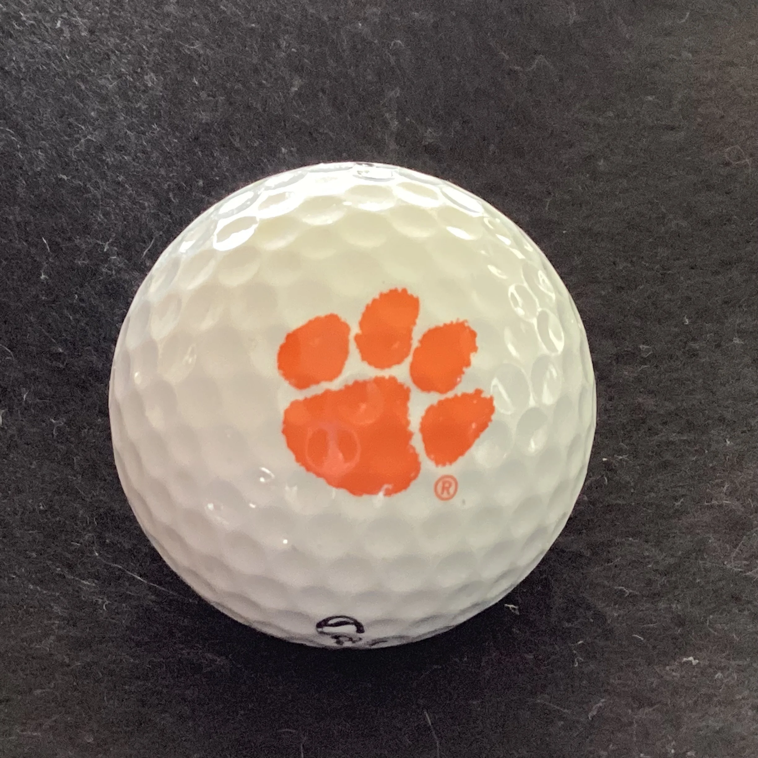 Clemson University Tigers